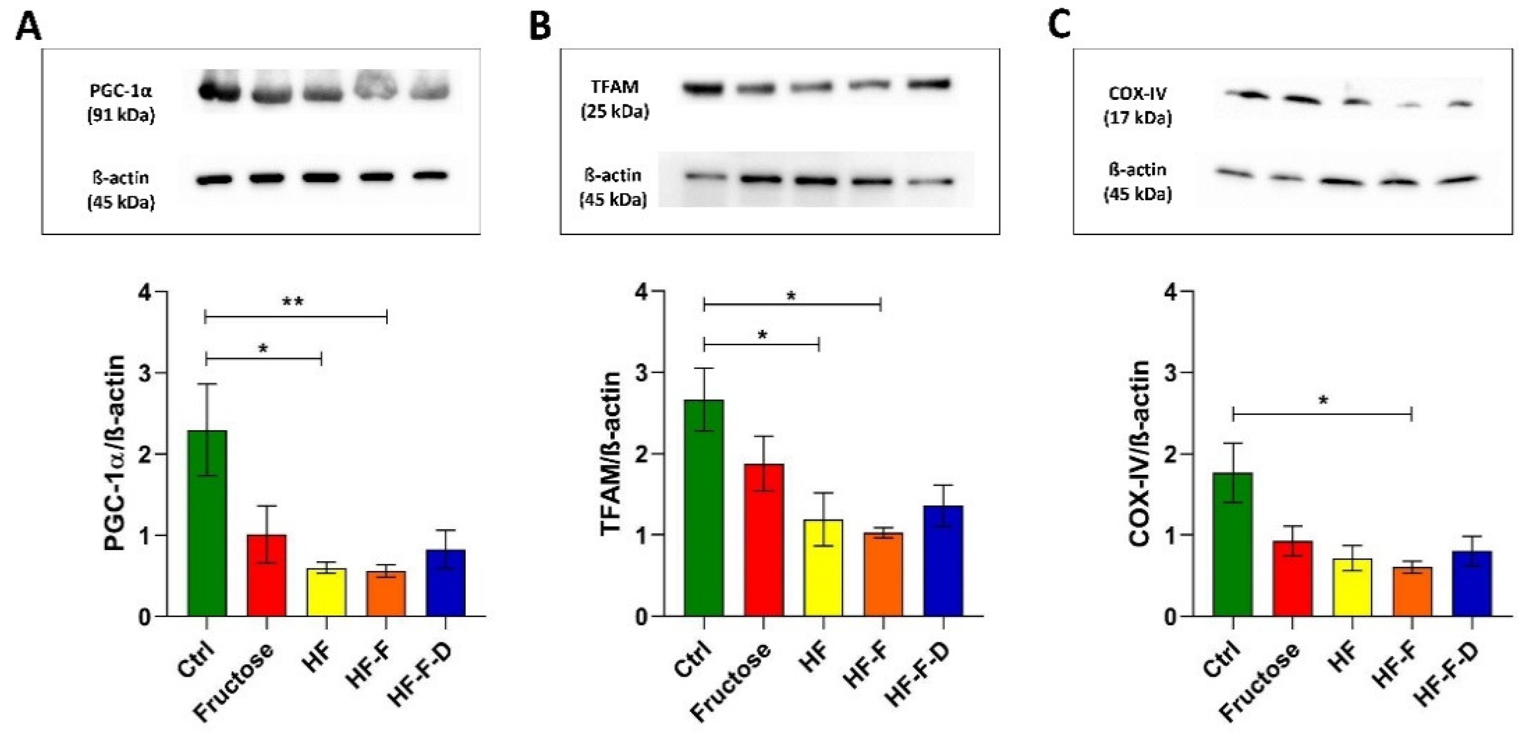 Genes 12 01439 g003