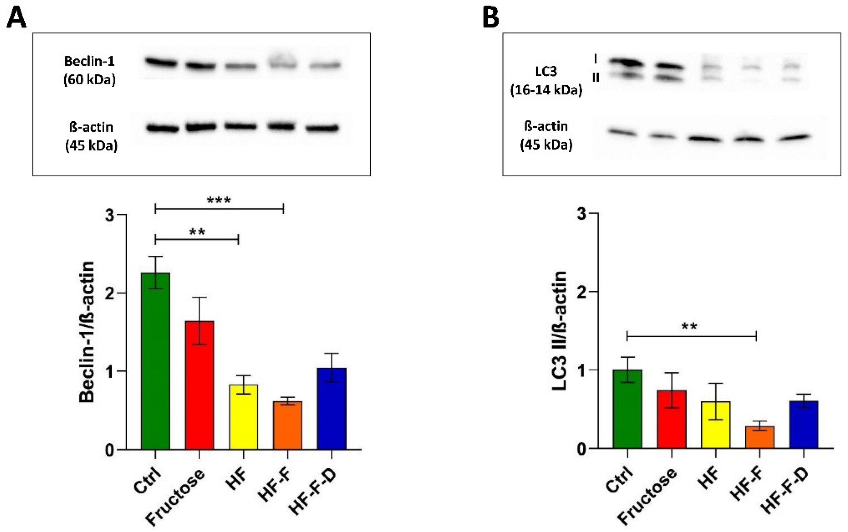 Genes 12 01439 g004