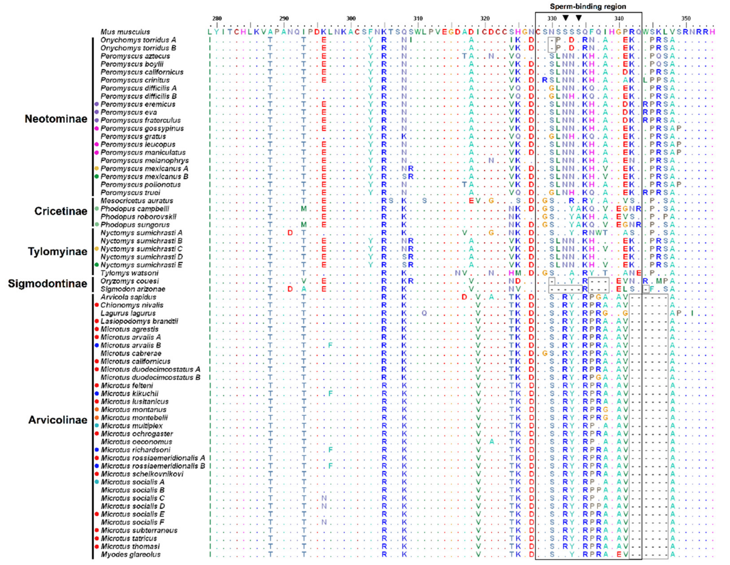 Genes 12 01450 g002 Genes 12 01450 g002