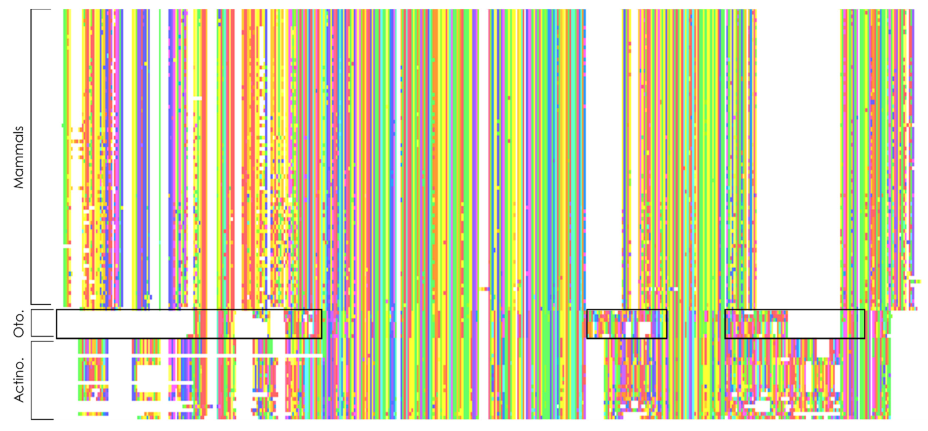 Genes 12 01452 g005 Genes 12 01452 g005
