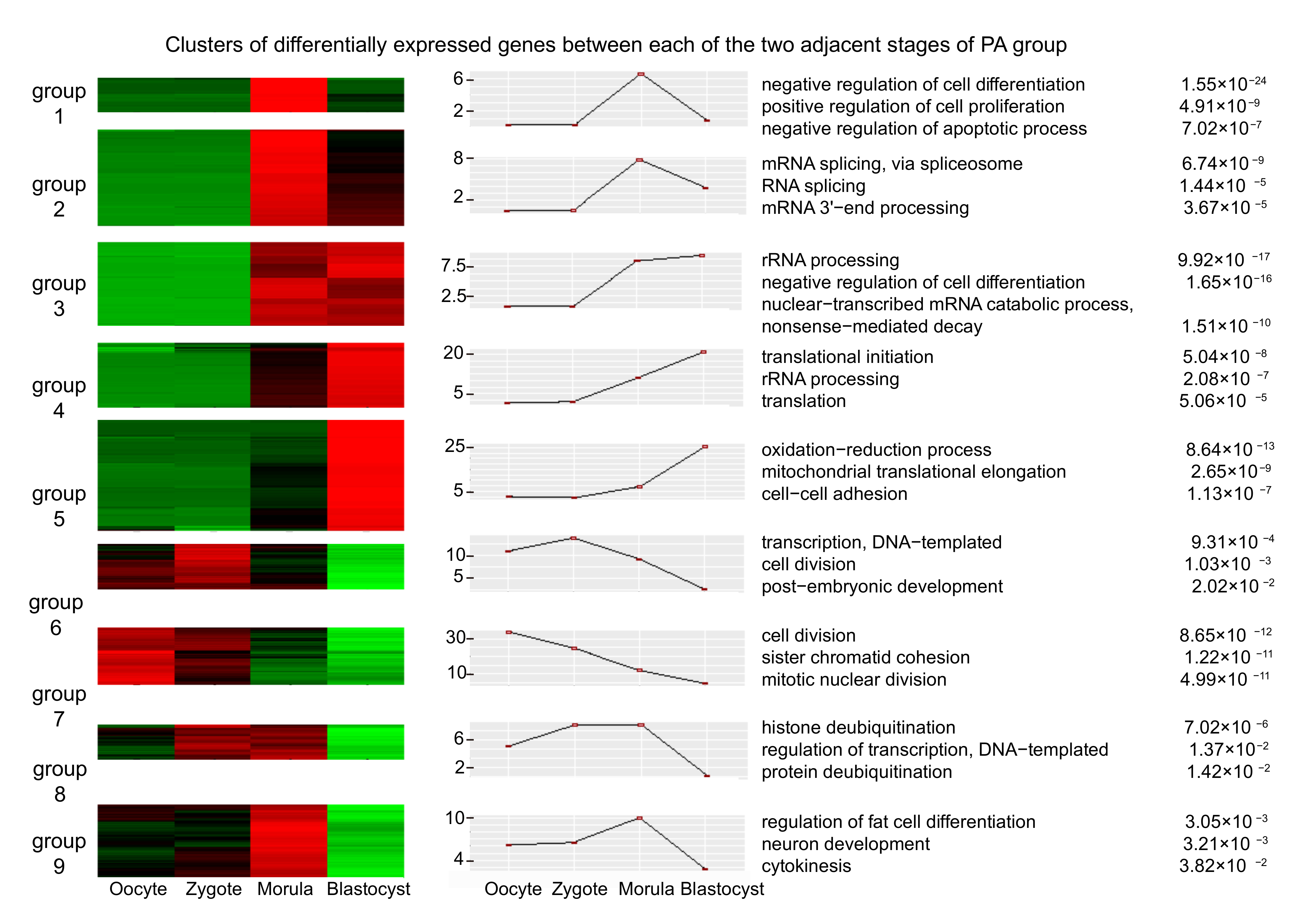 Genes 12 01461 g002