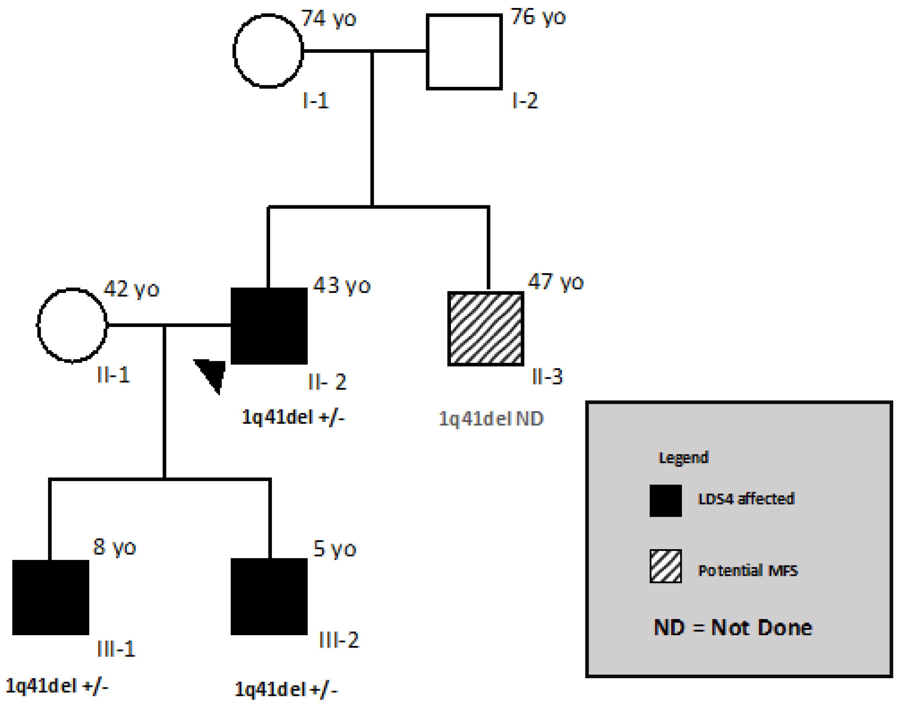 Genes 12 01462 g001