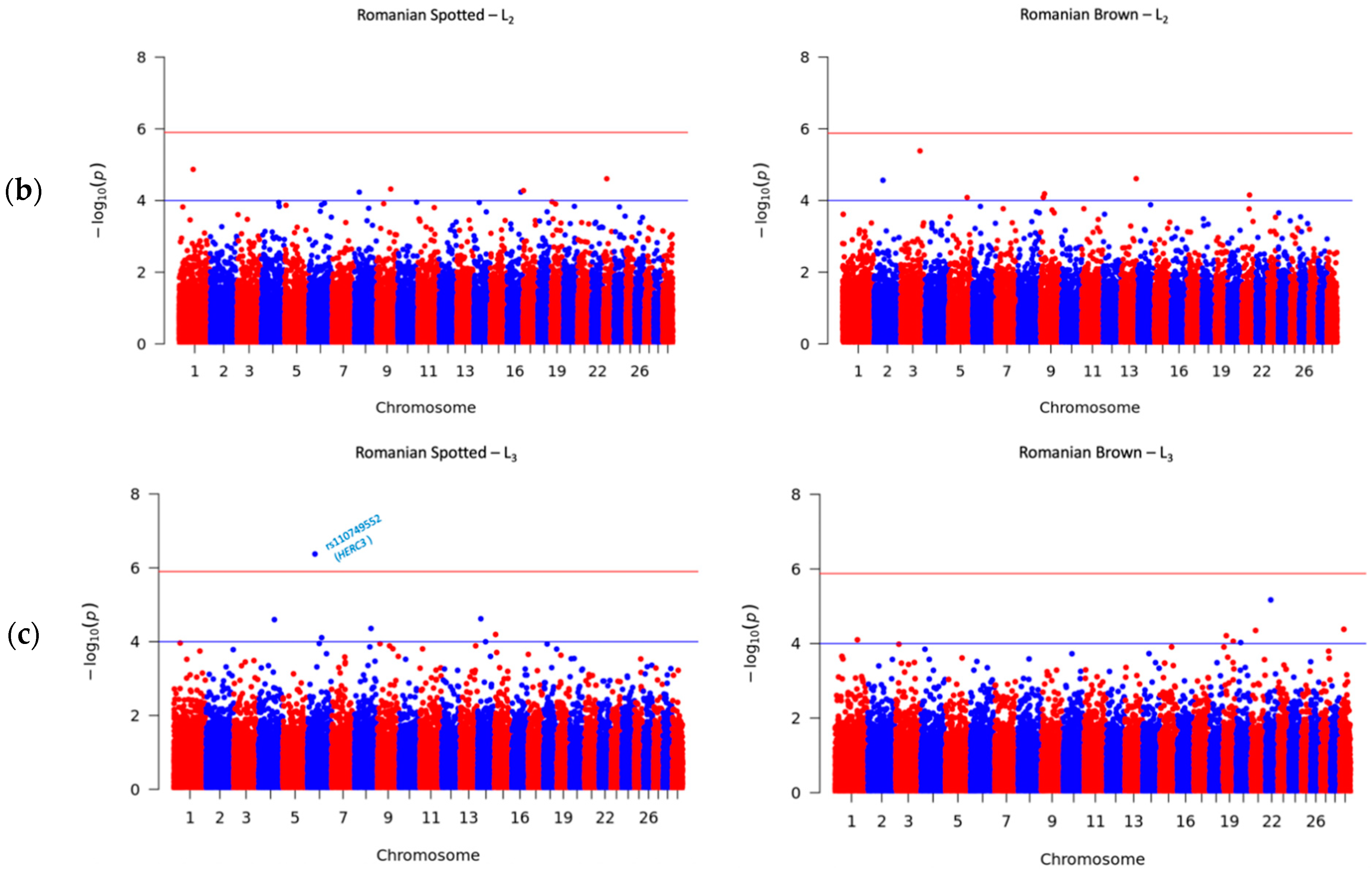 Genes 12 01495 g002b