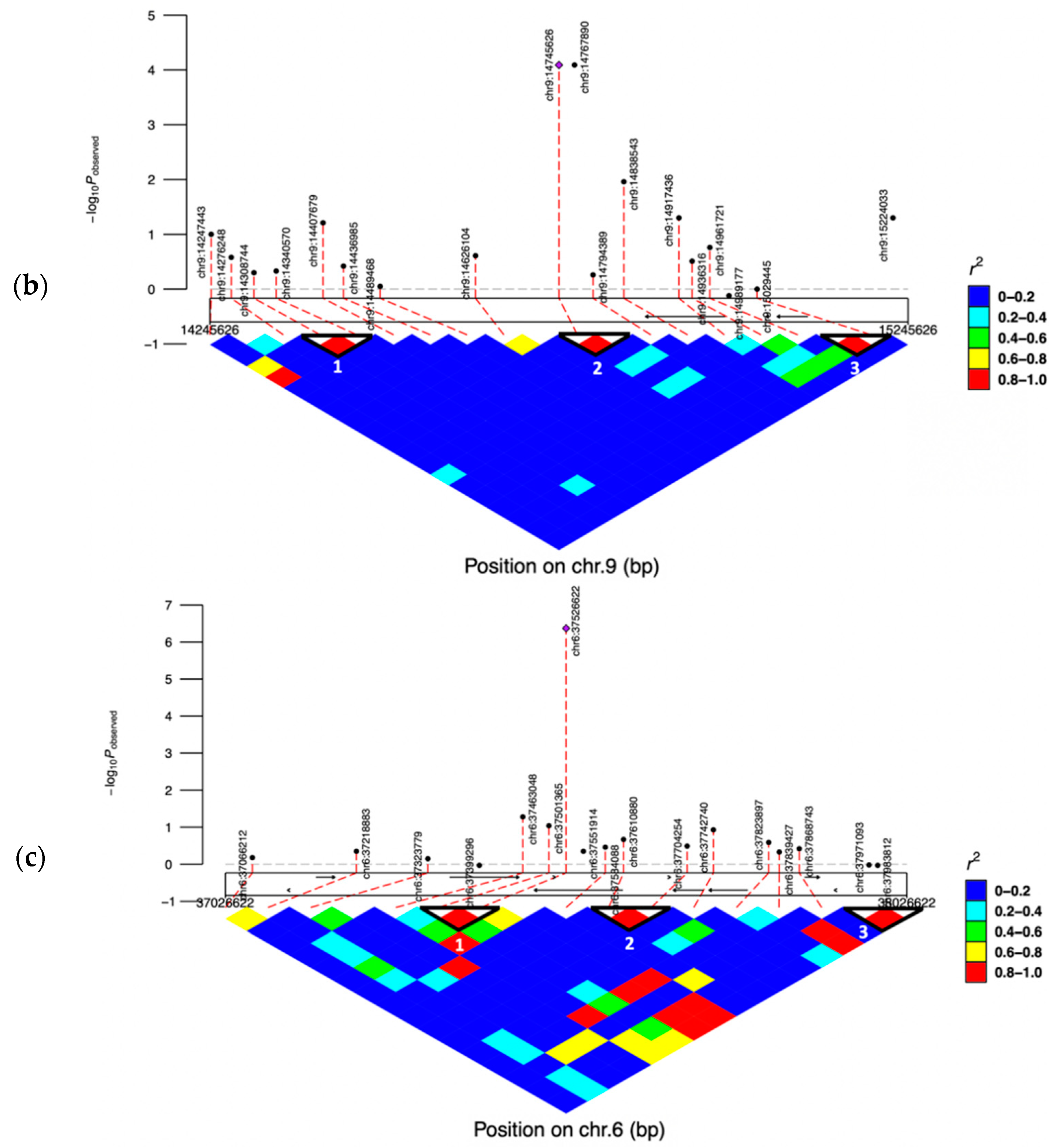 Genes 12 01495 g003b