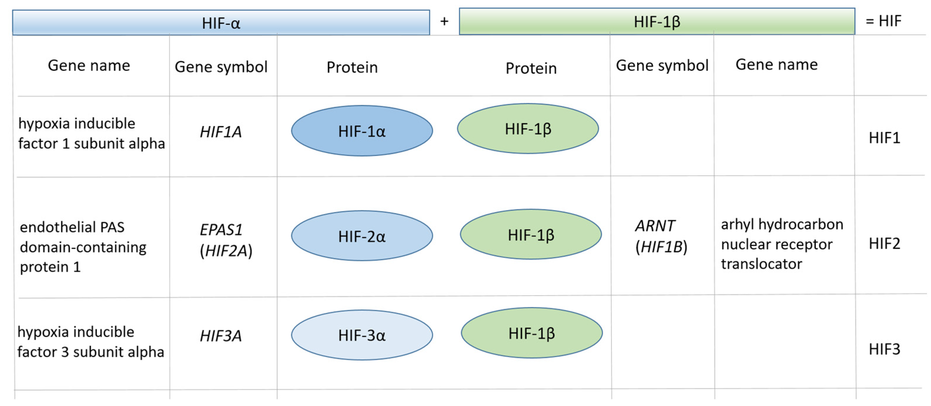 Genes 12 01526 g001