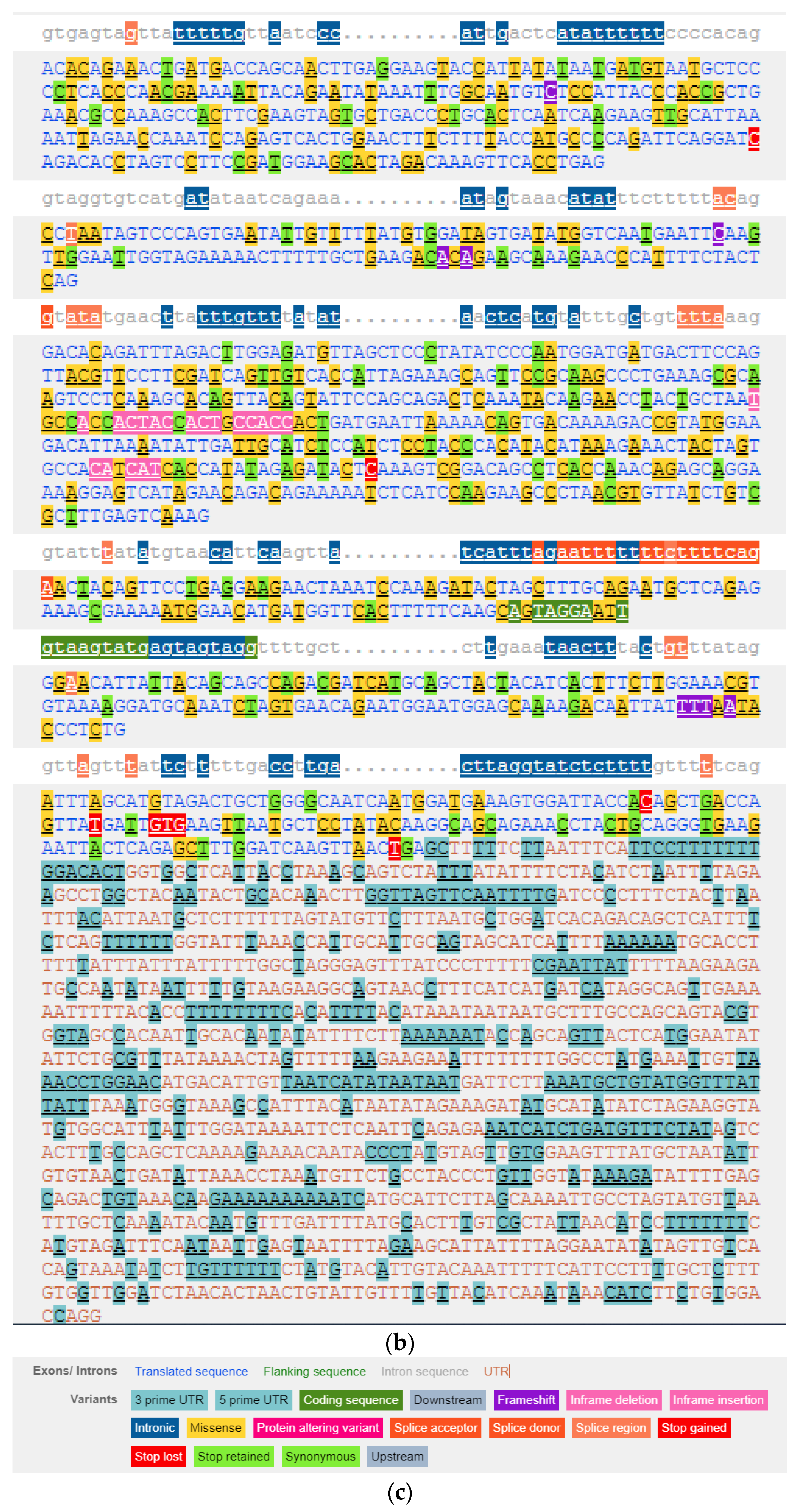 Genes 12 01526 g003b