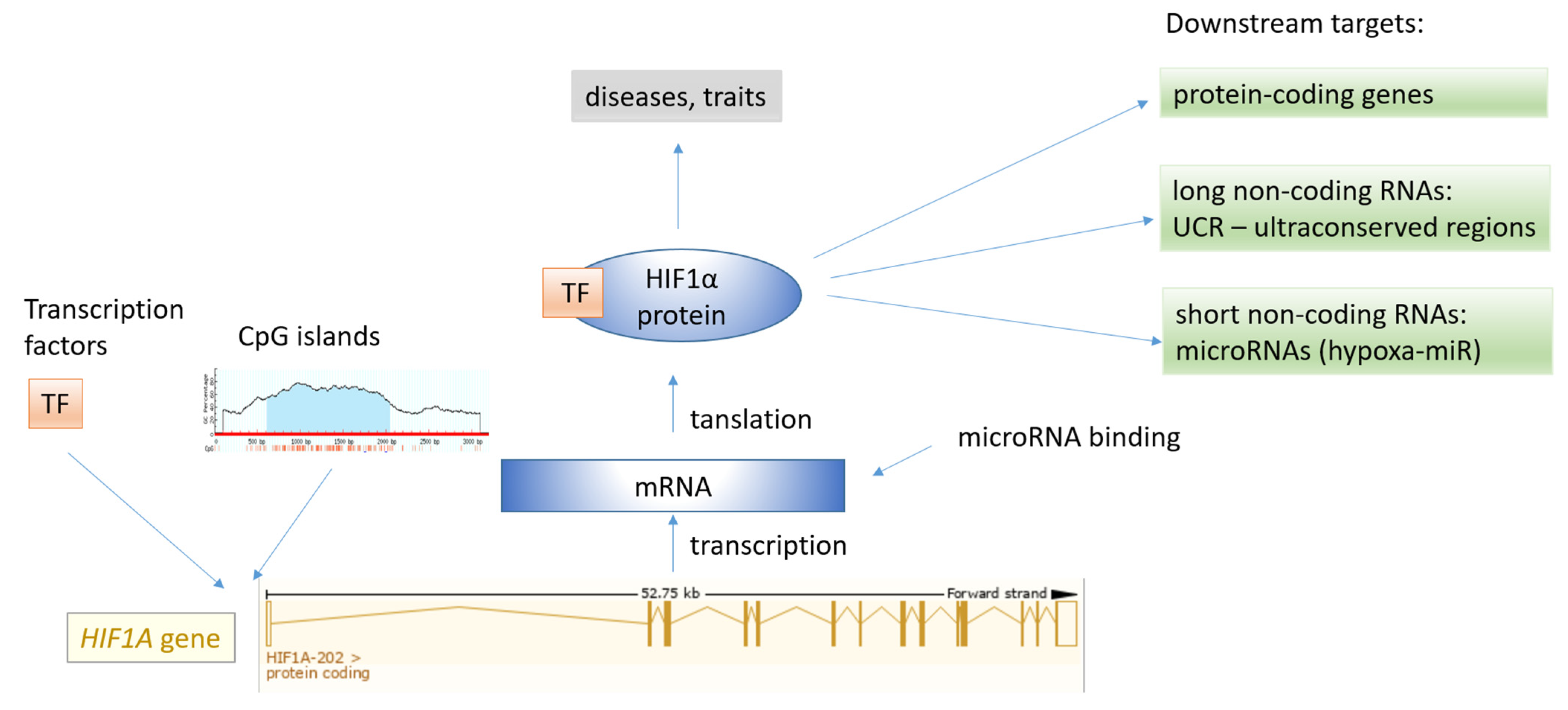 Genes 12 01526 g006