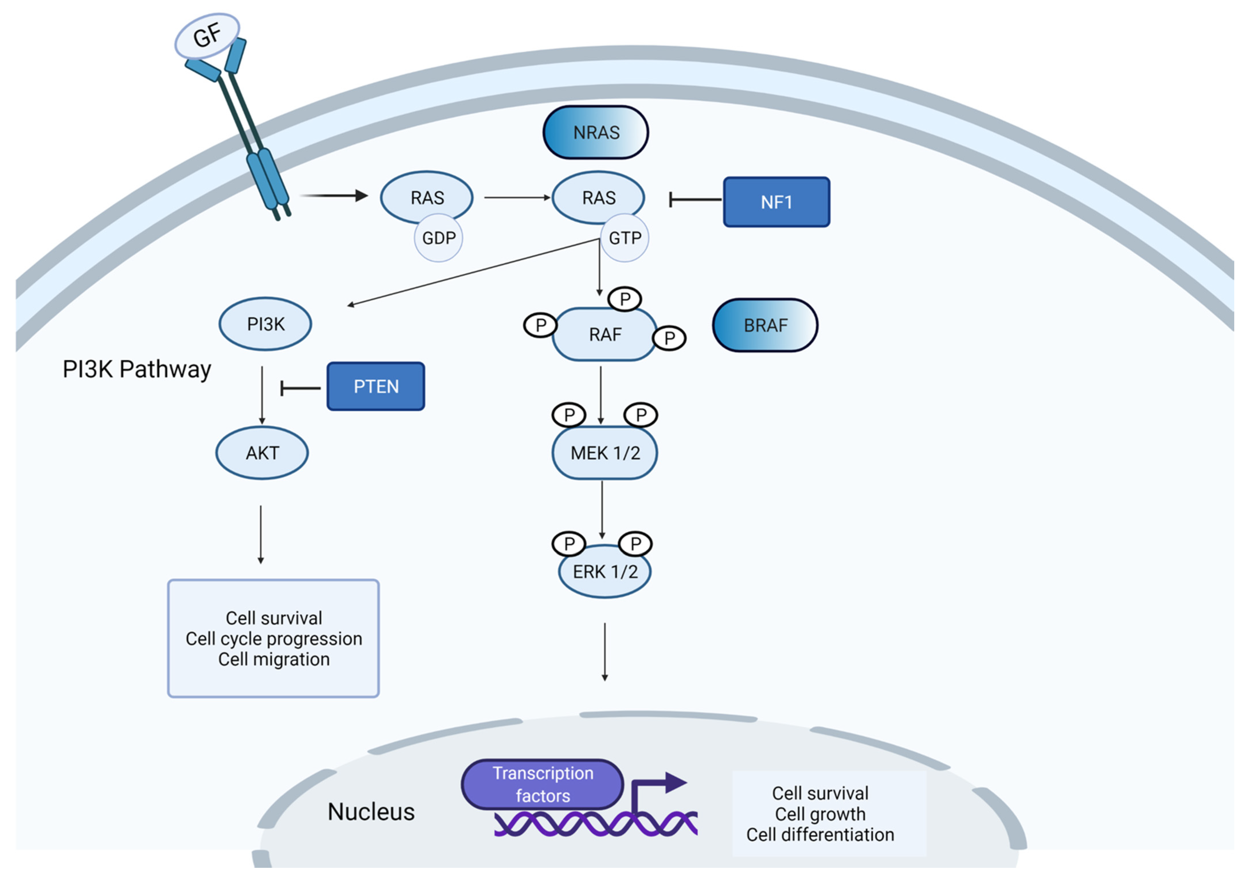 Genes 12 01543 g001 Genes 12 01543 g001