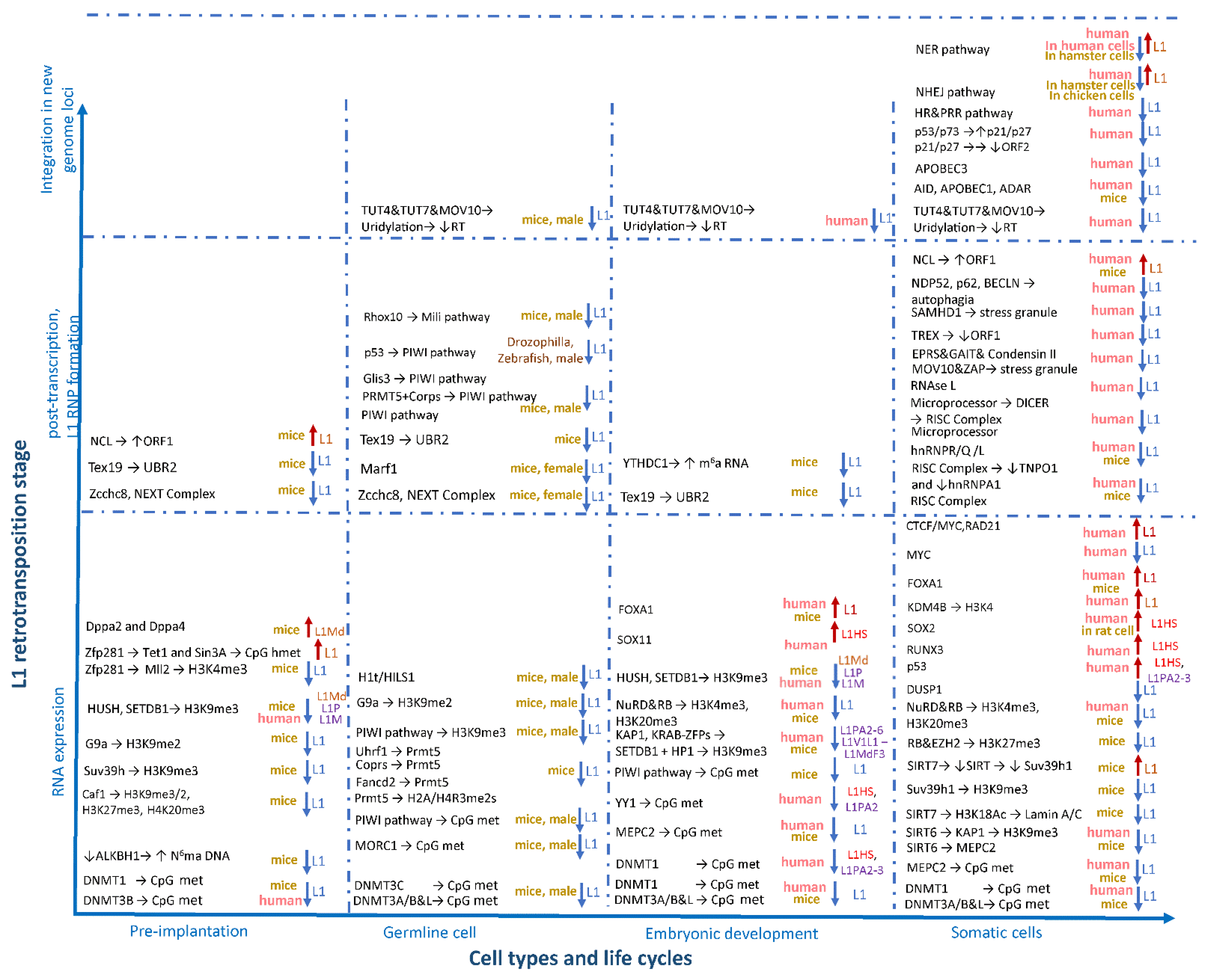 Genes 12 01562 g003 Genes 12 01562 g003