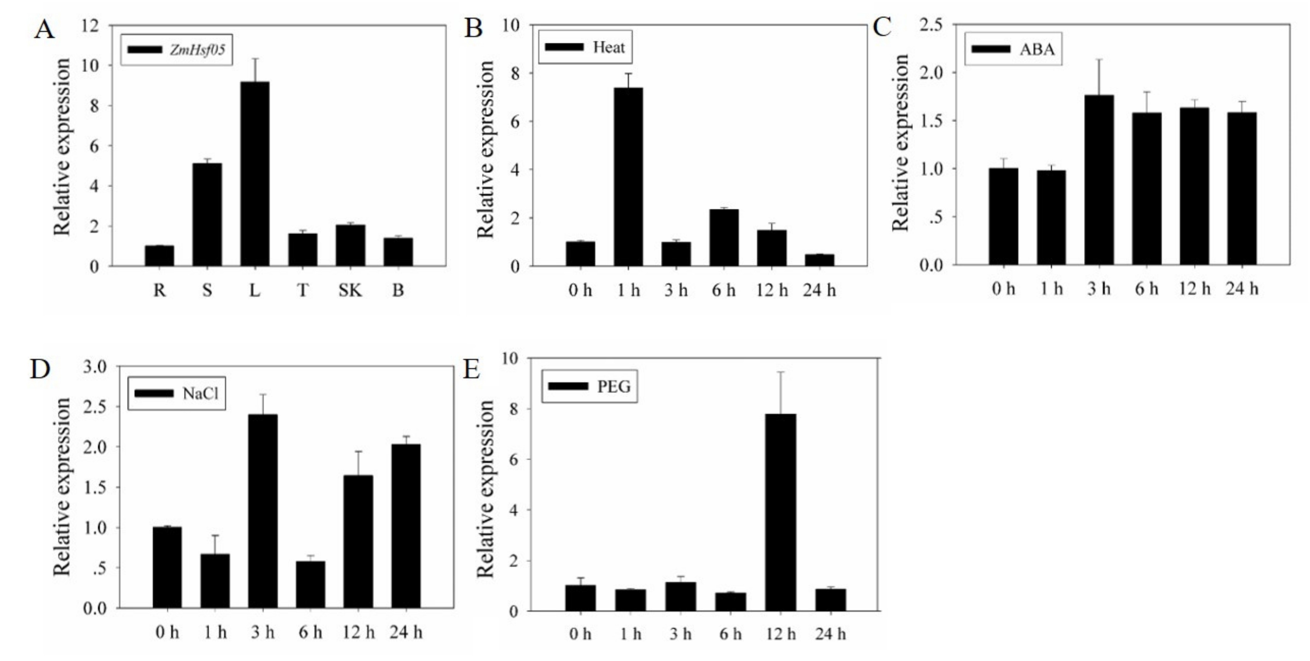 Genes 12 01568 g002