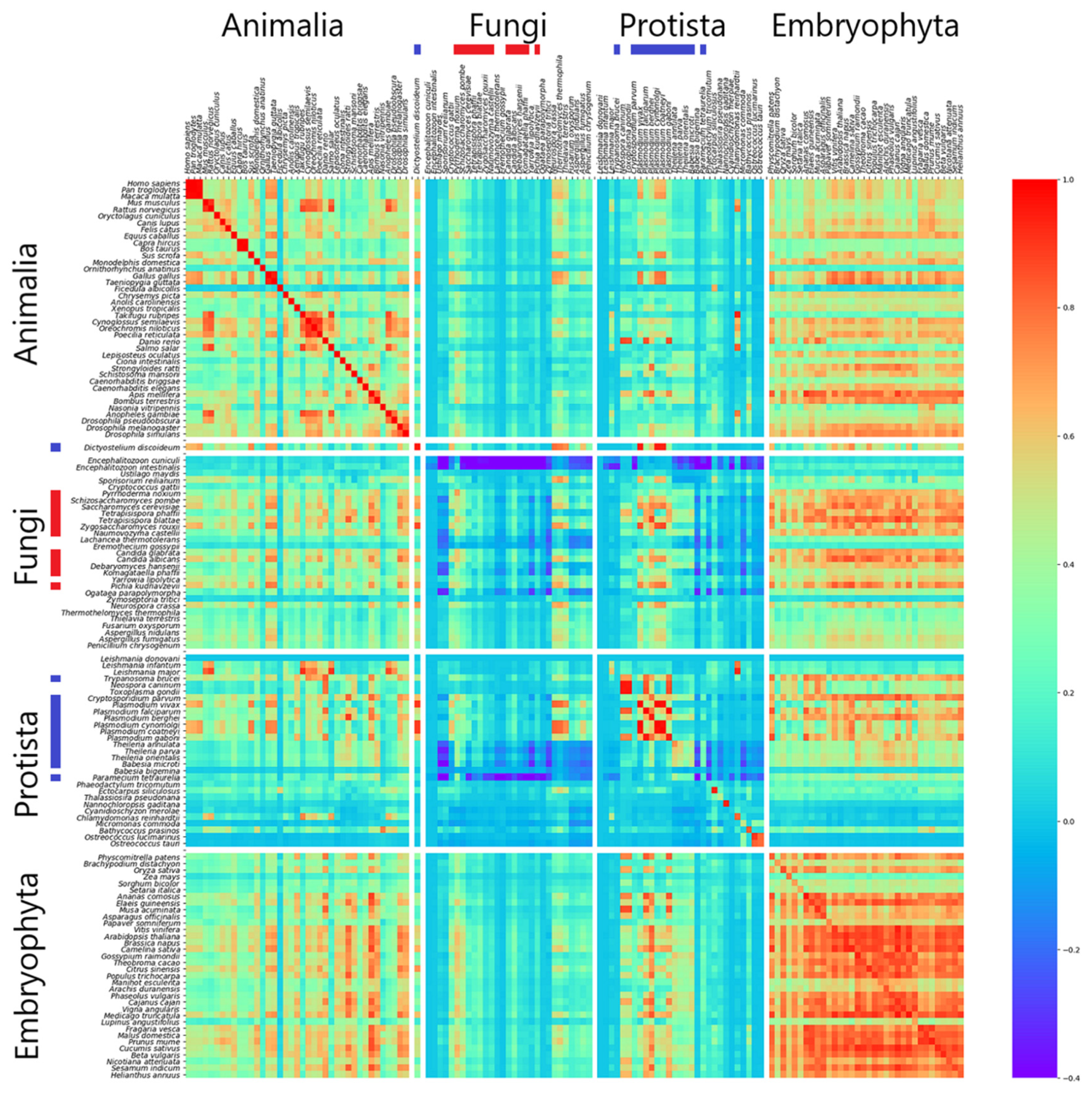 Genes 12 01571 g003
