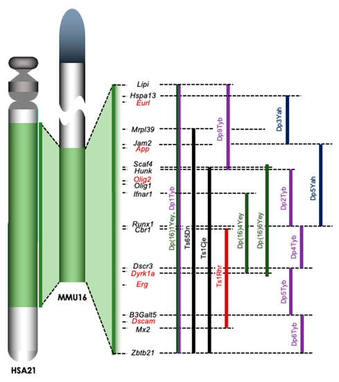 D-DP-DS-23 Study Plan