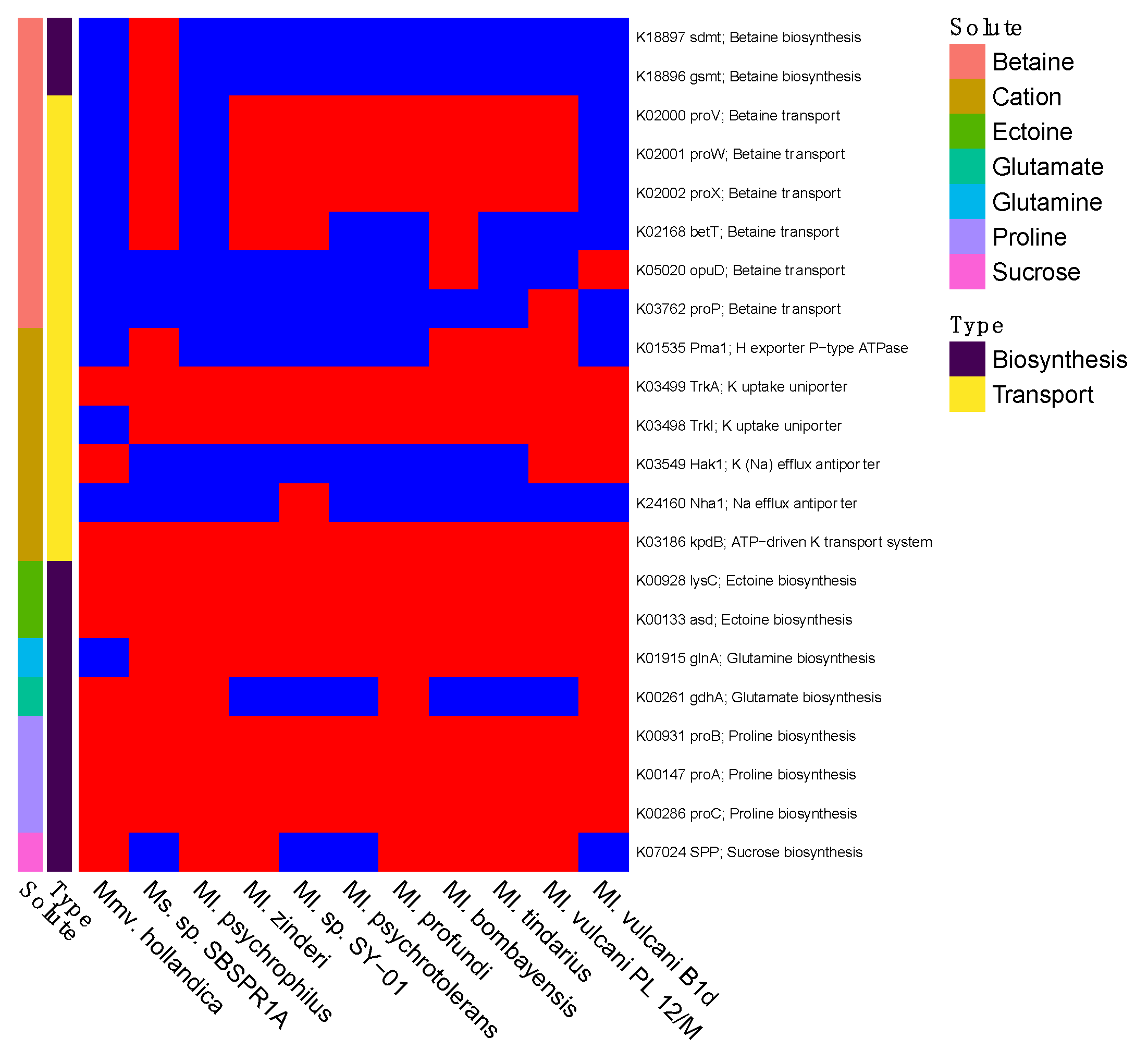 Genes 12 01609 g005 Genes 12 01609 g005