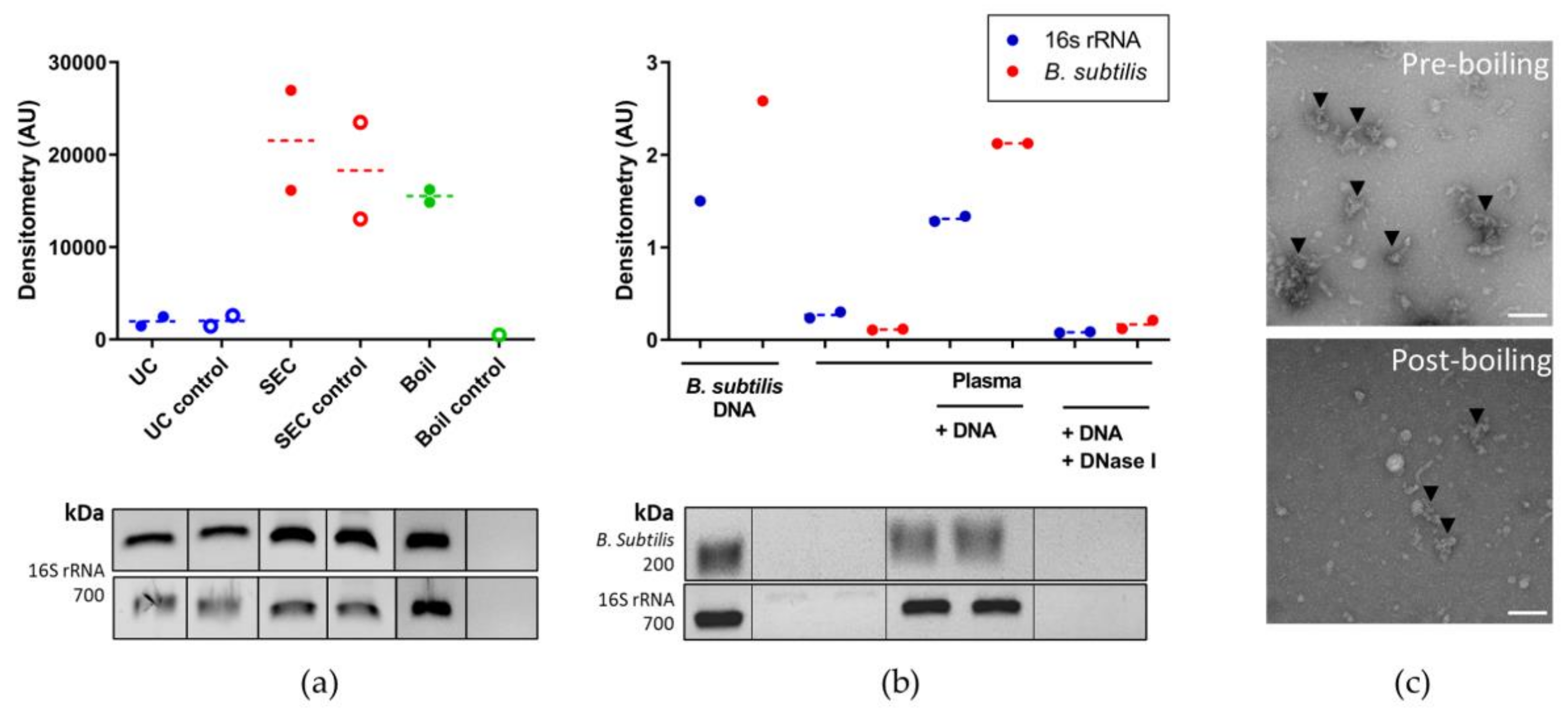 Genes 12 01636 g003