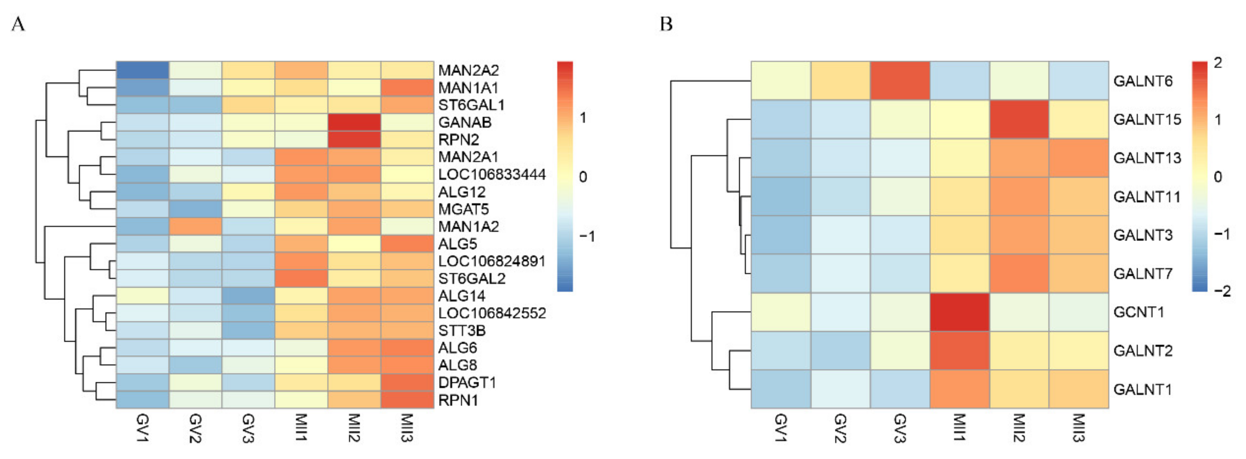 Genes 12 01640 g005 Genes 12 01640 g005