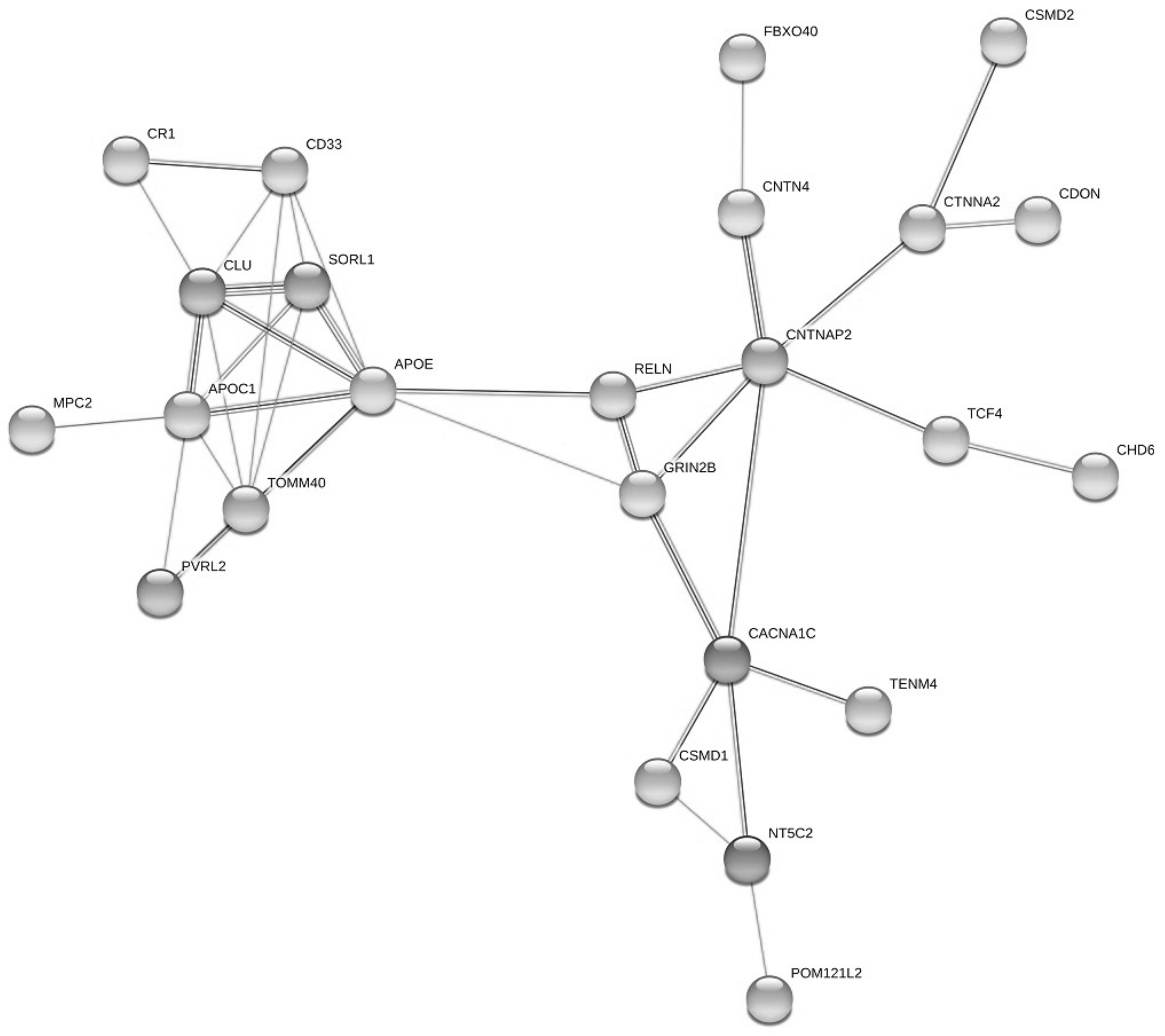 Genes 12 01647 g004