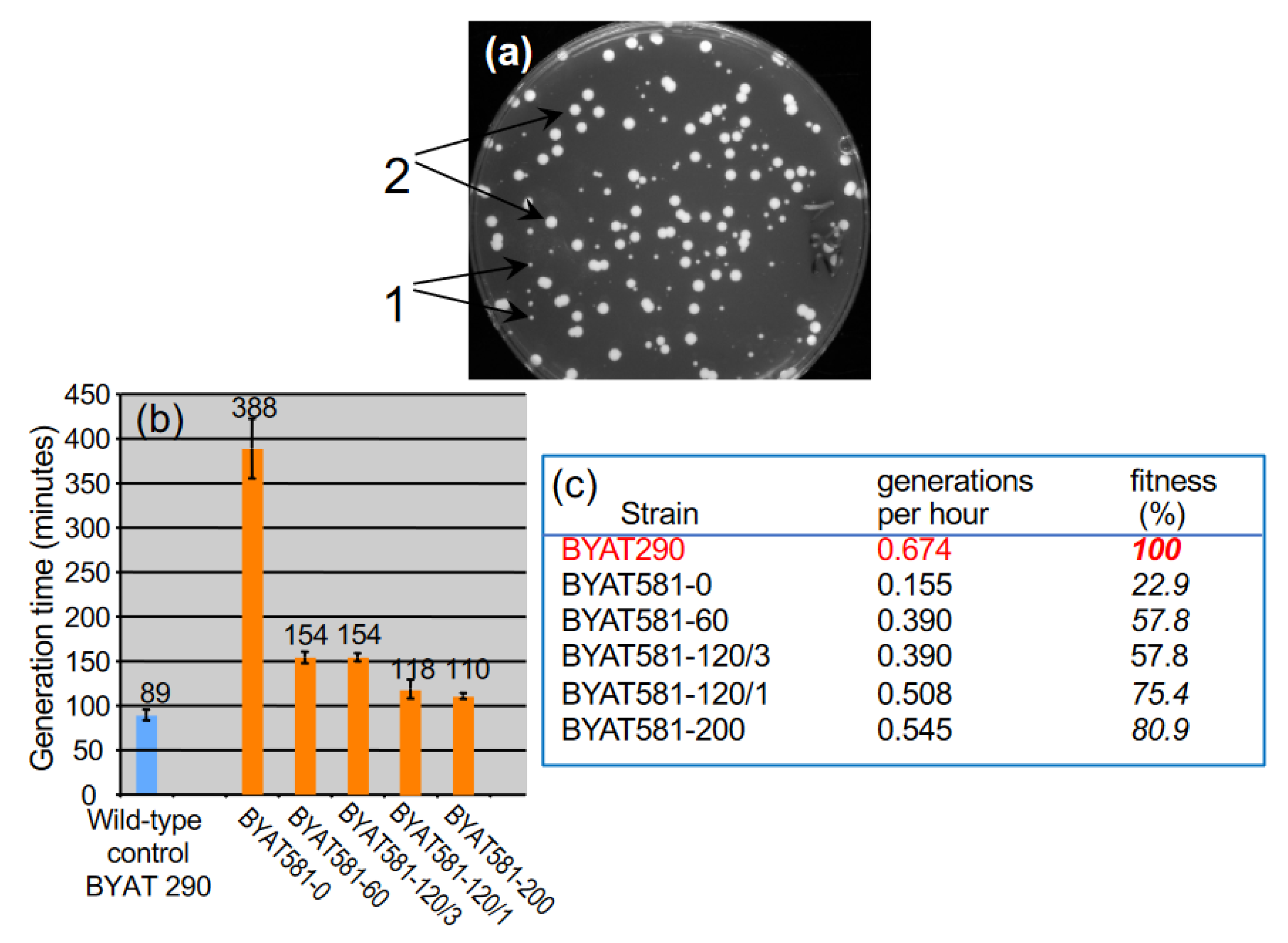 Genes 12 01678 g001