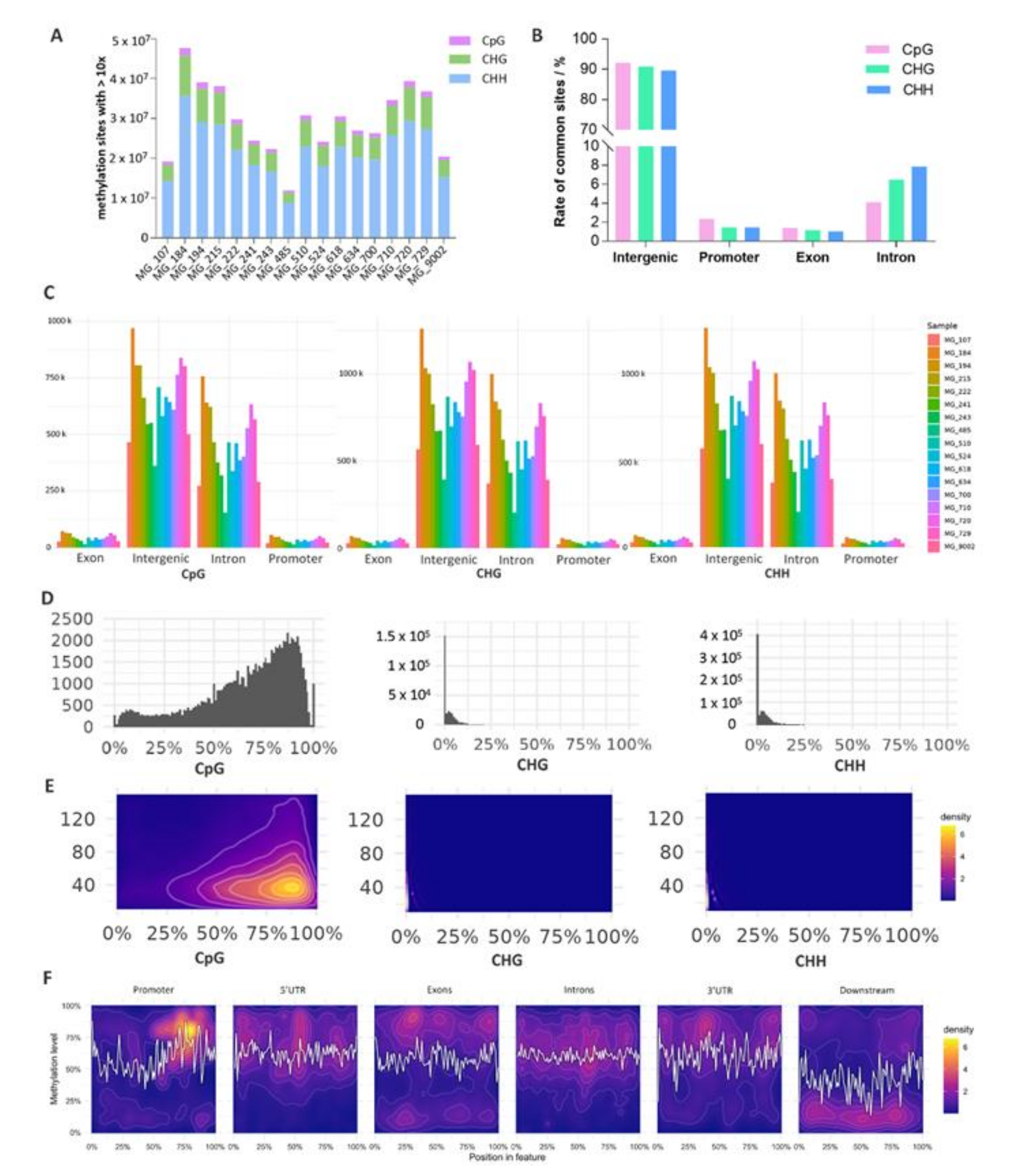 Genes 12 01727 g001