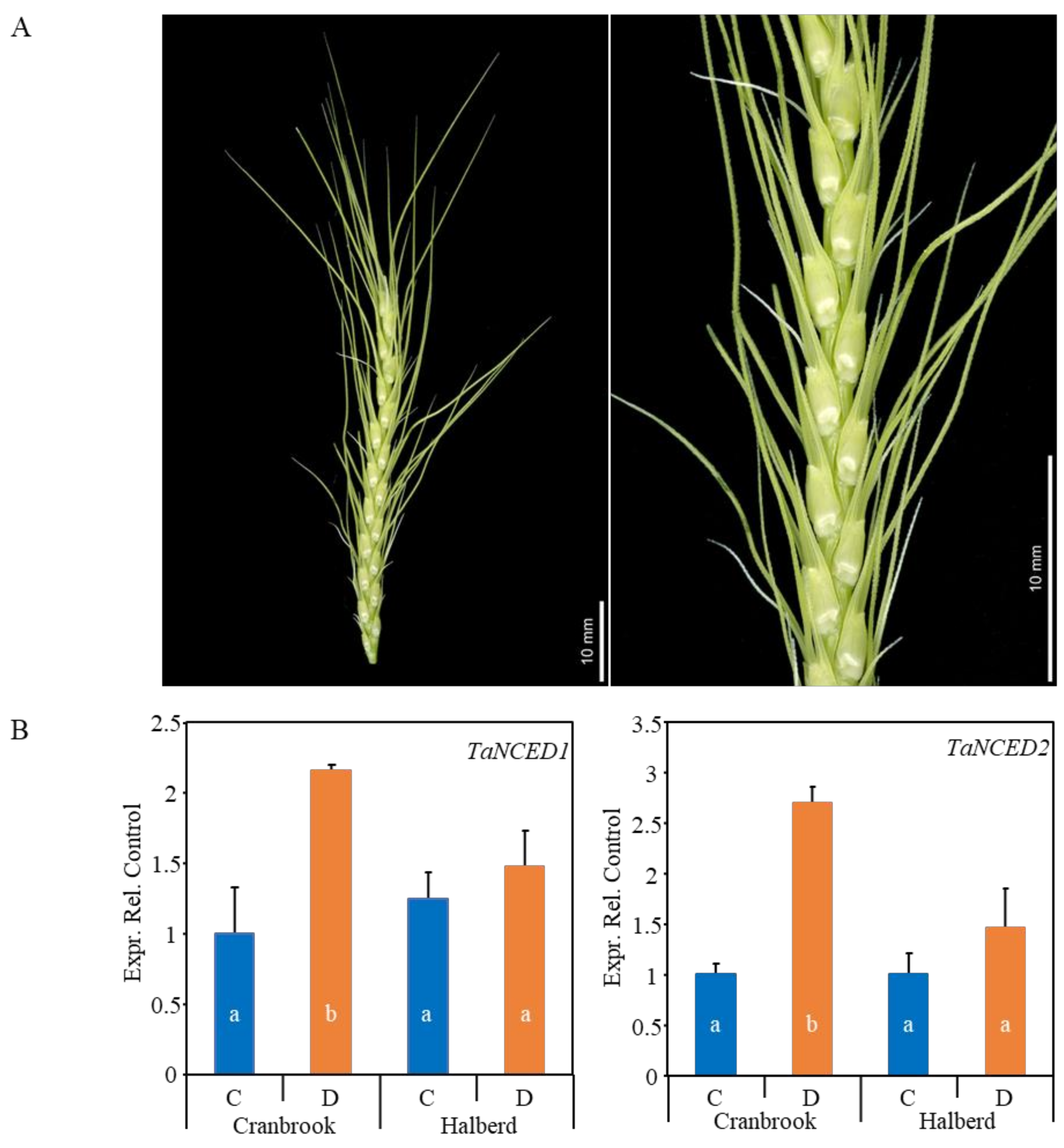 Genes 12 01742 g001