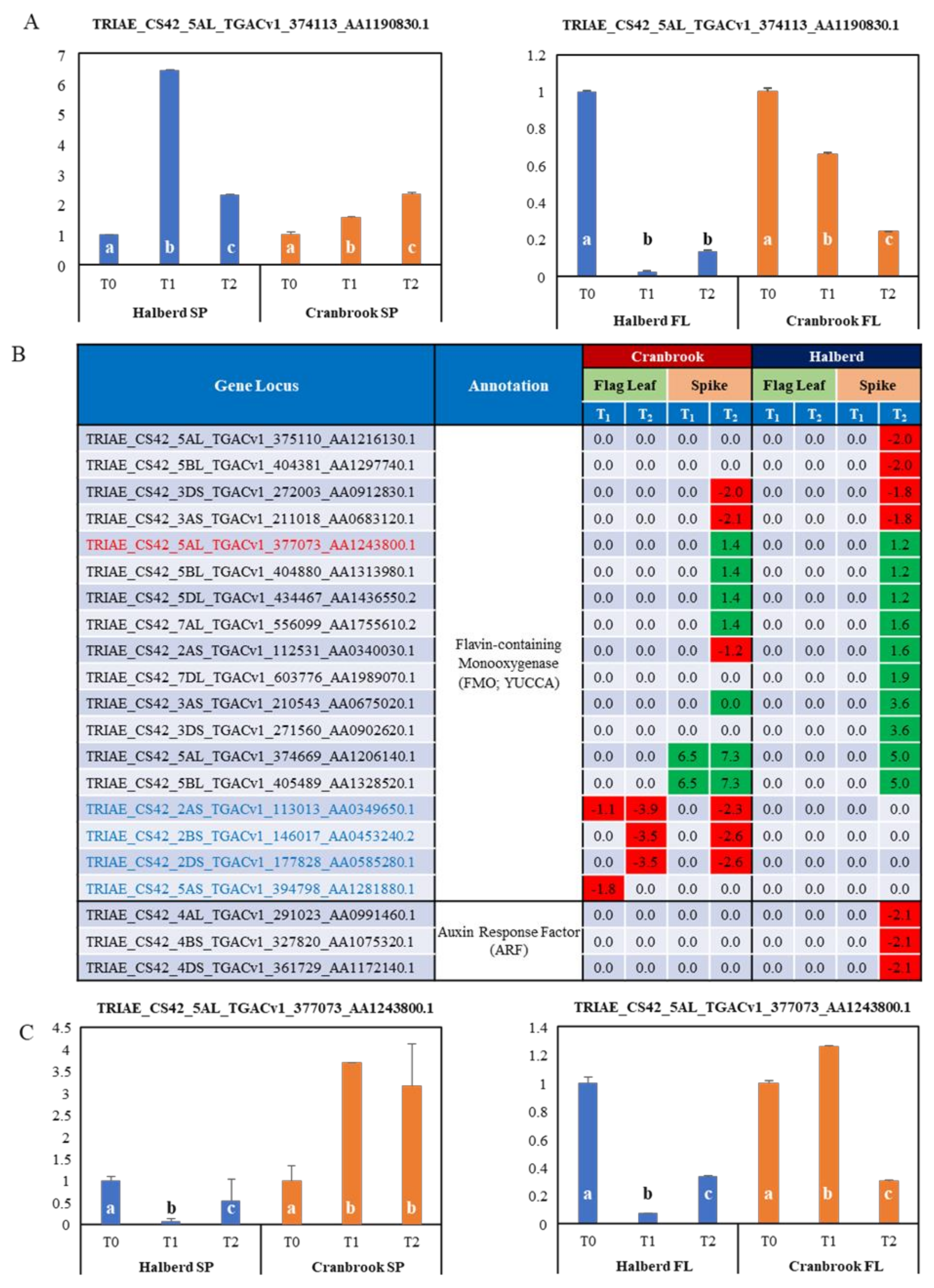 Genes 12 01742 g007