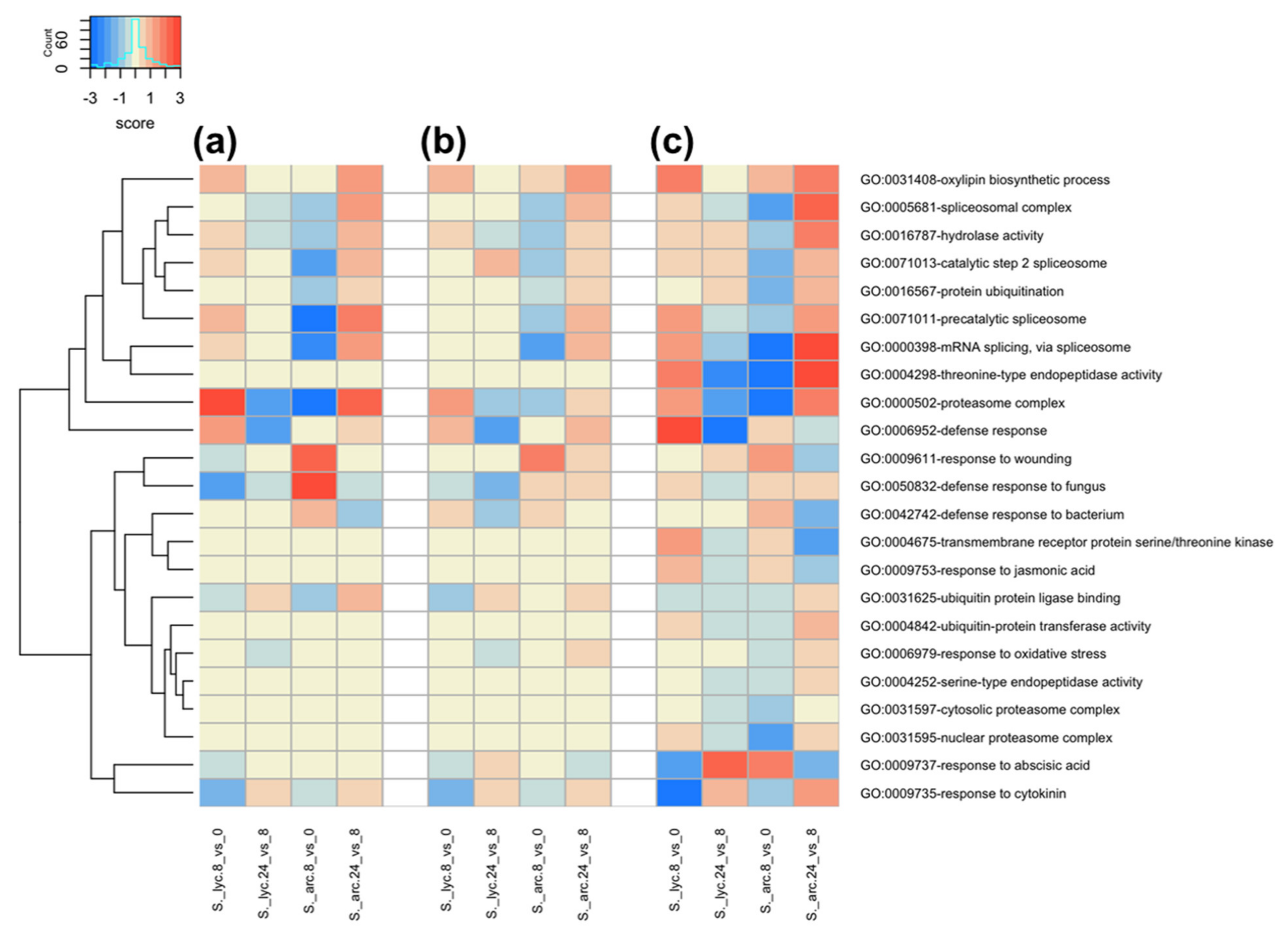 Genes 12 01745 g005