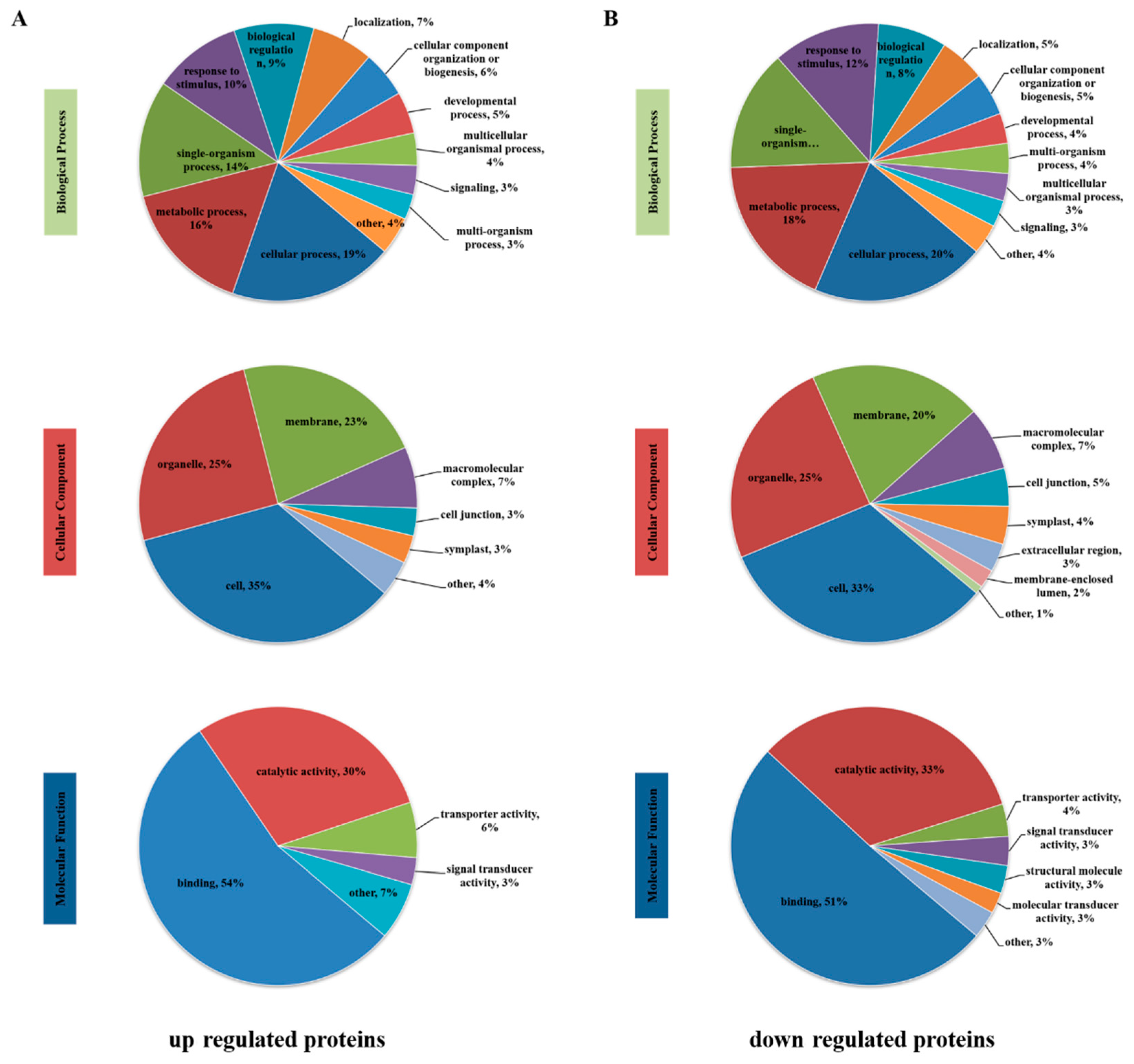 Genes 12 01759 g005