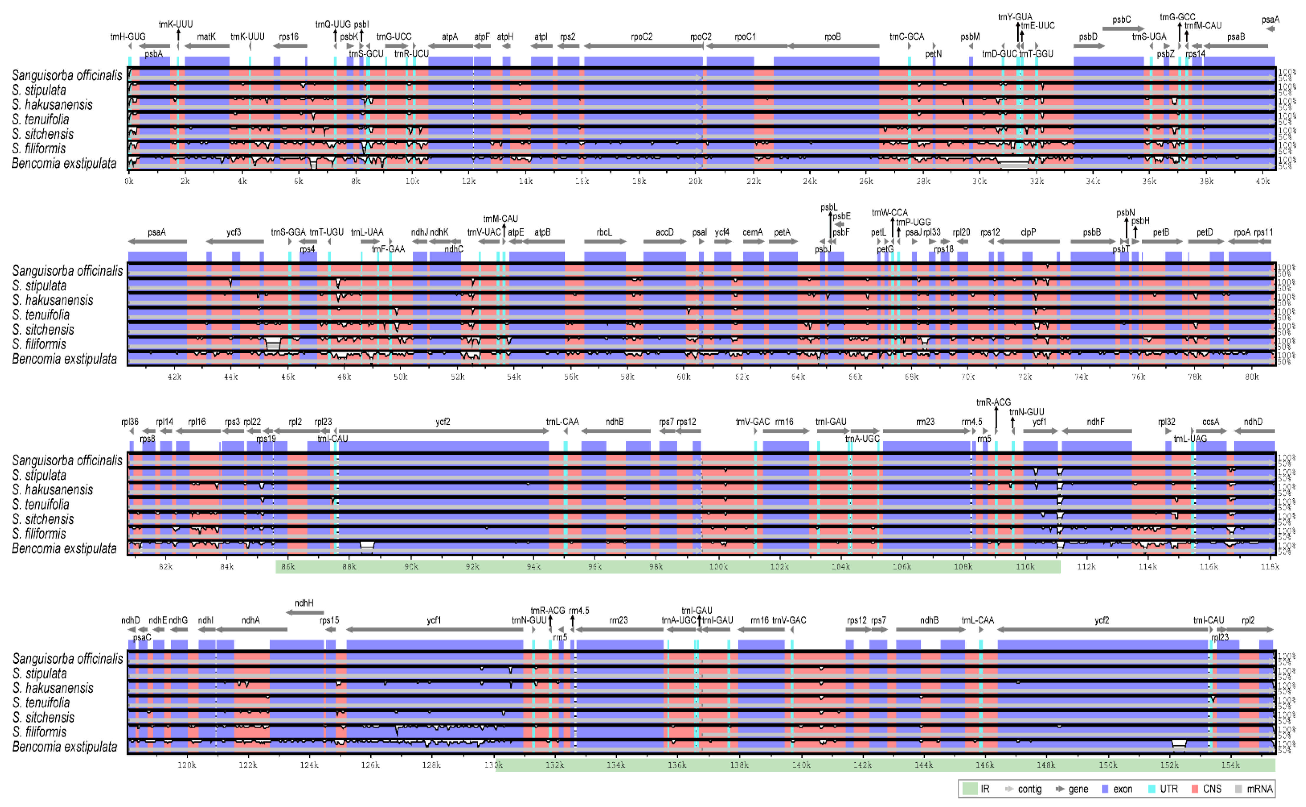 Genes 12 01764 g007