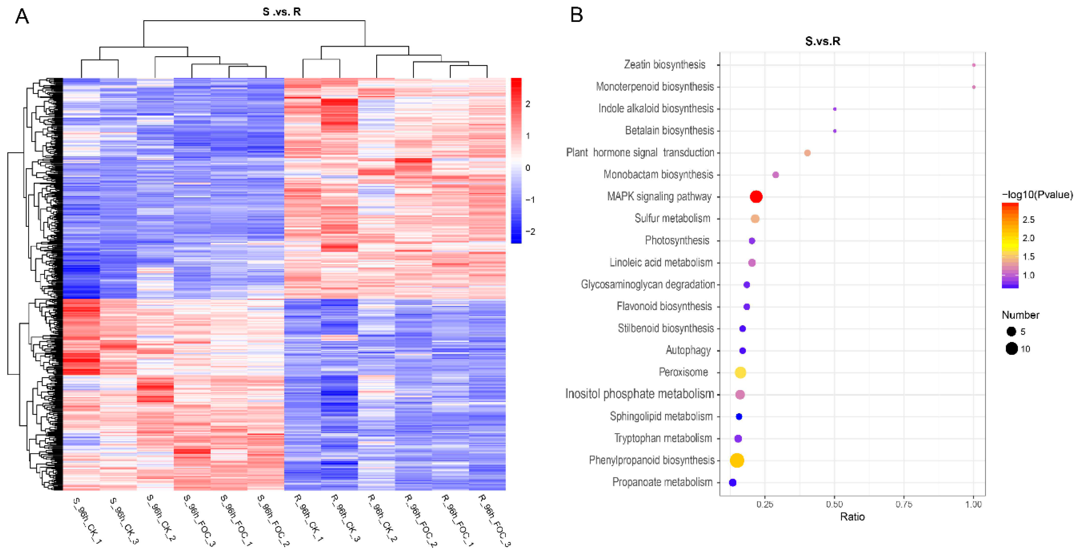Genes 12 01781 g003