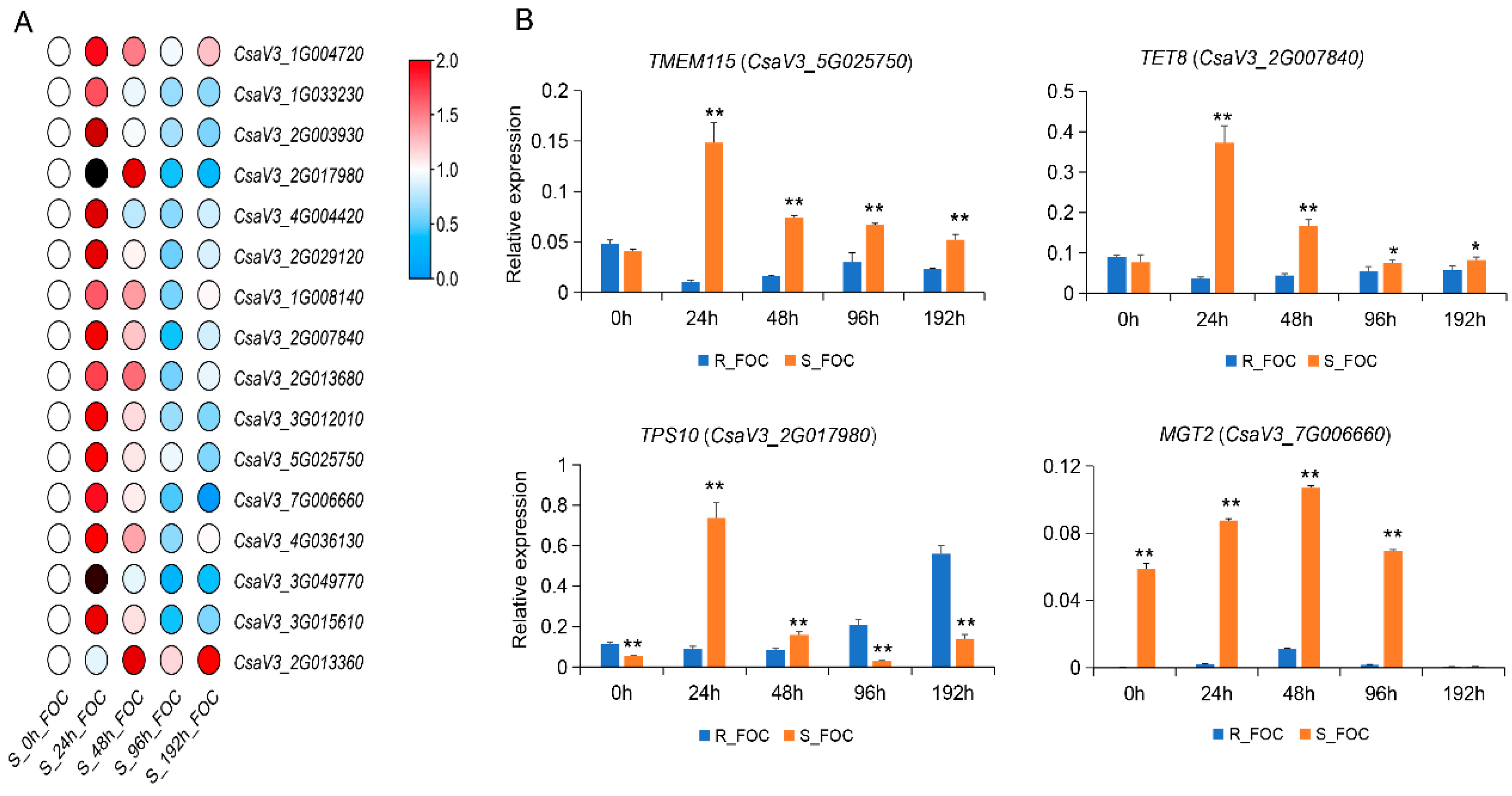 Genes 12 01781 g005