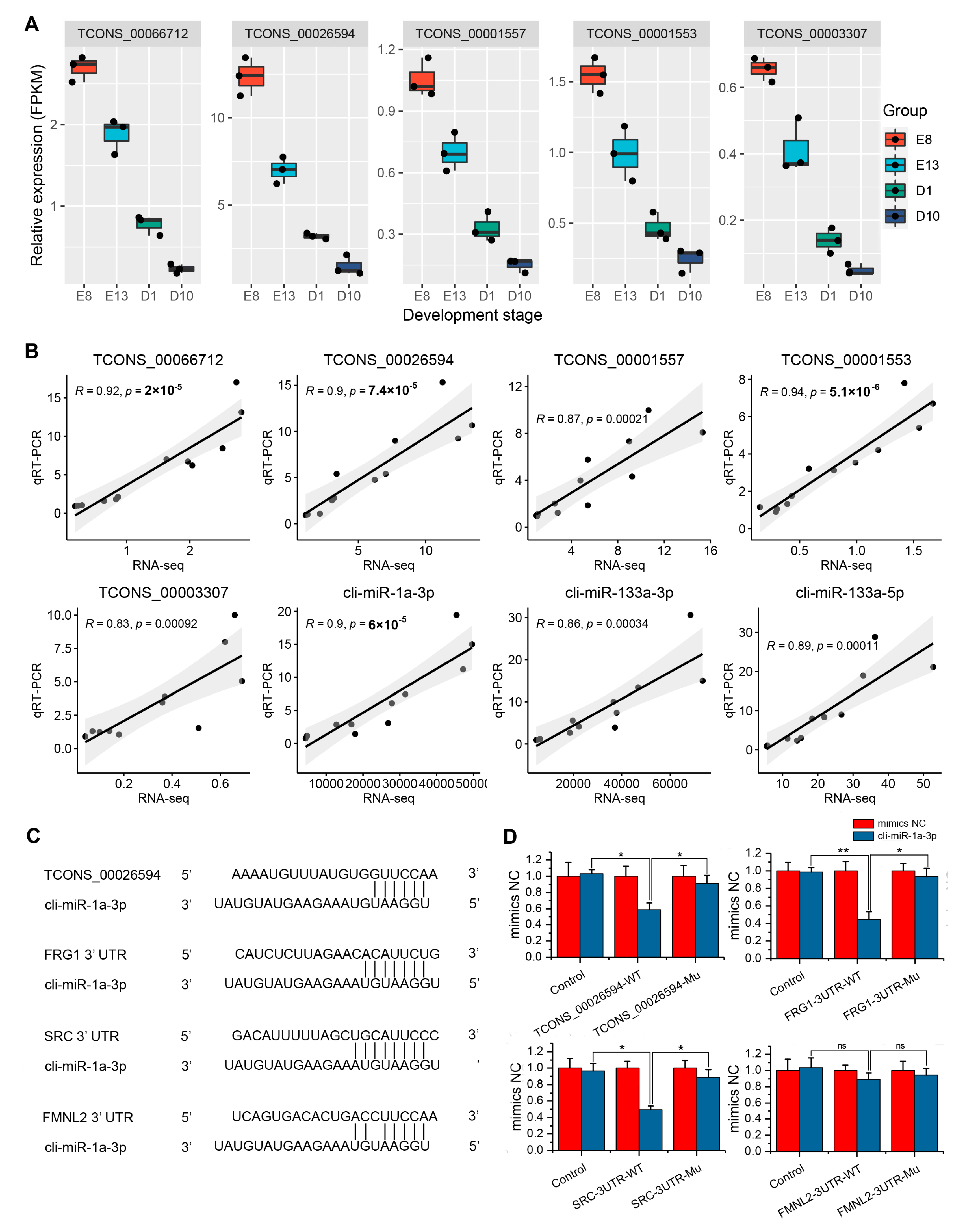 Genes 12 01787 g006
