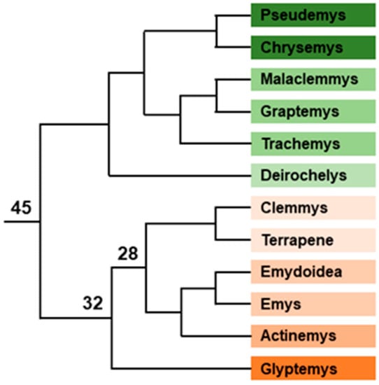 Scientists Confirm Facultative Parthenogenesis in Smithsonian's