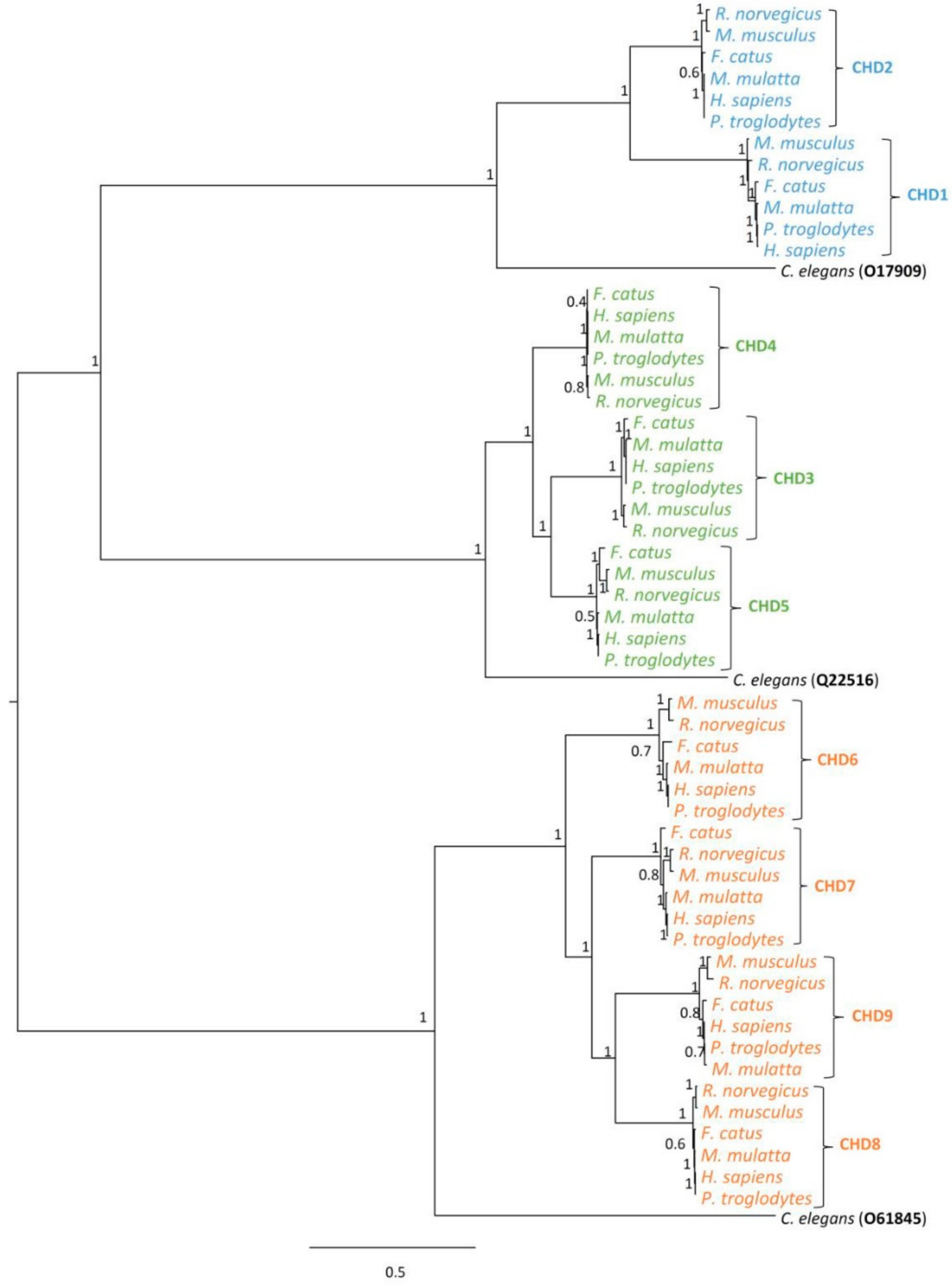 Genes 12 01827 g001 Genes 12 01827 g001