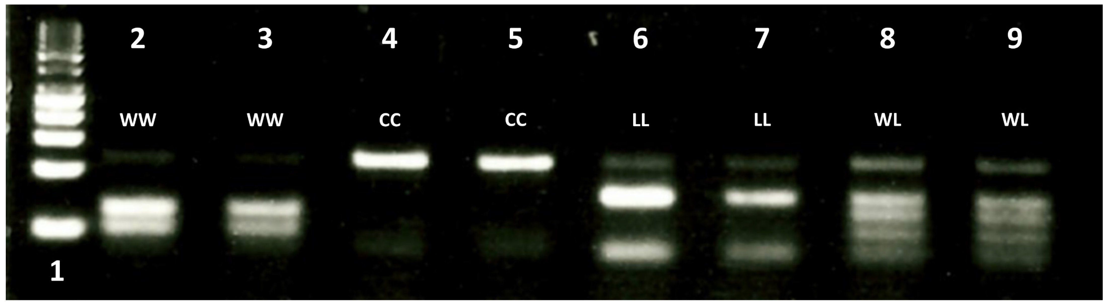 Genes 12 01838 g003
