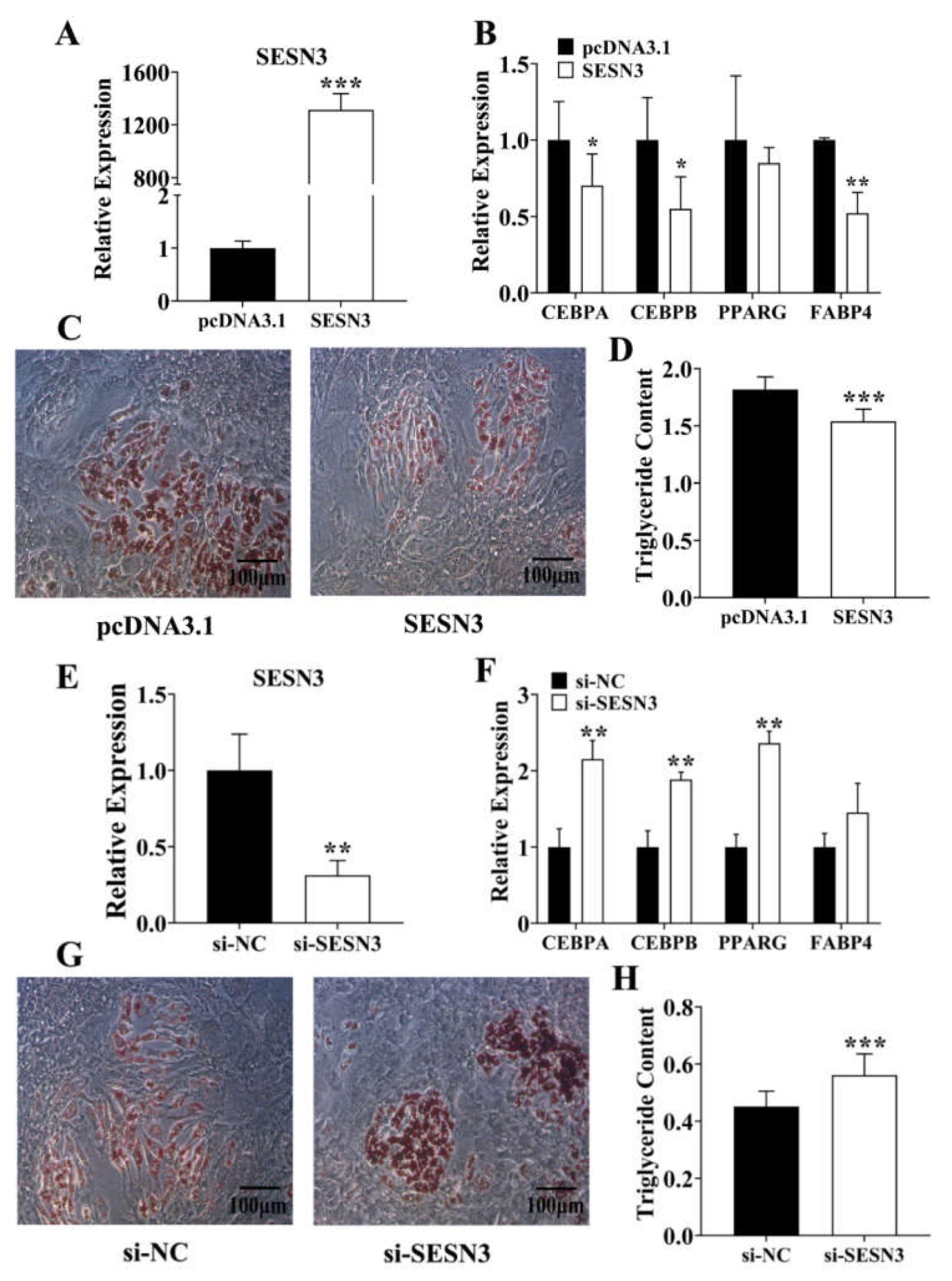 Genes 12 01852 g002