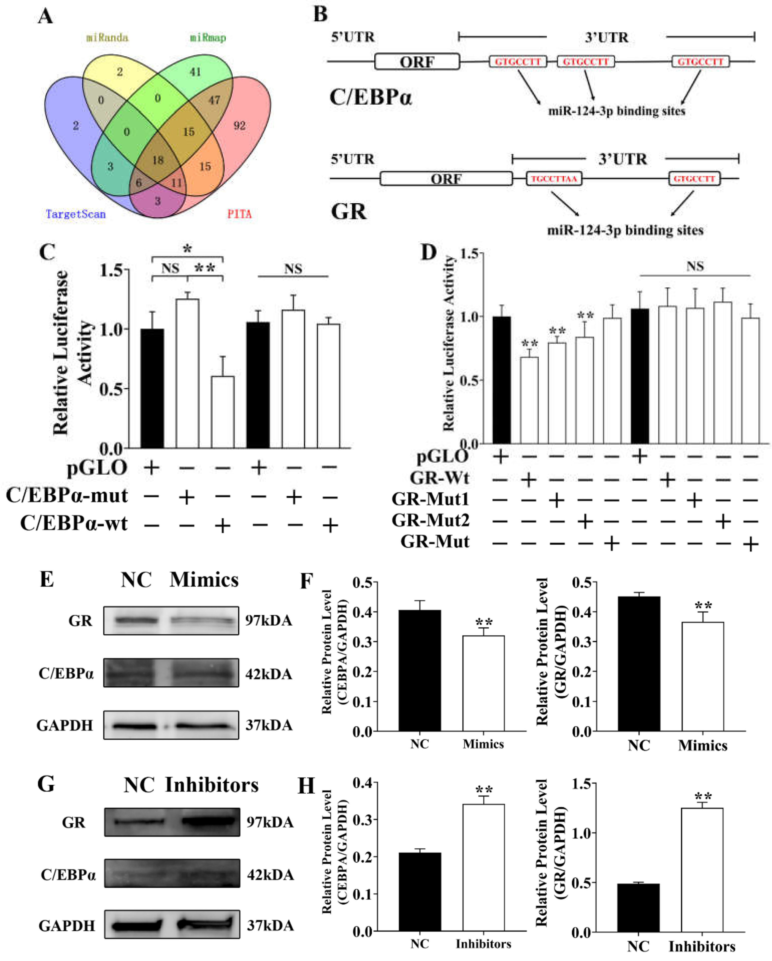 Genes 12 01852 g006