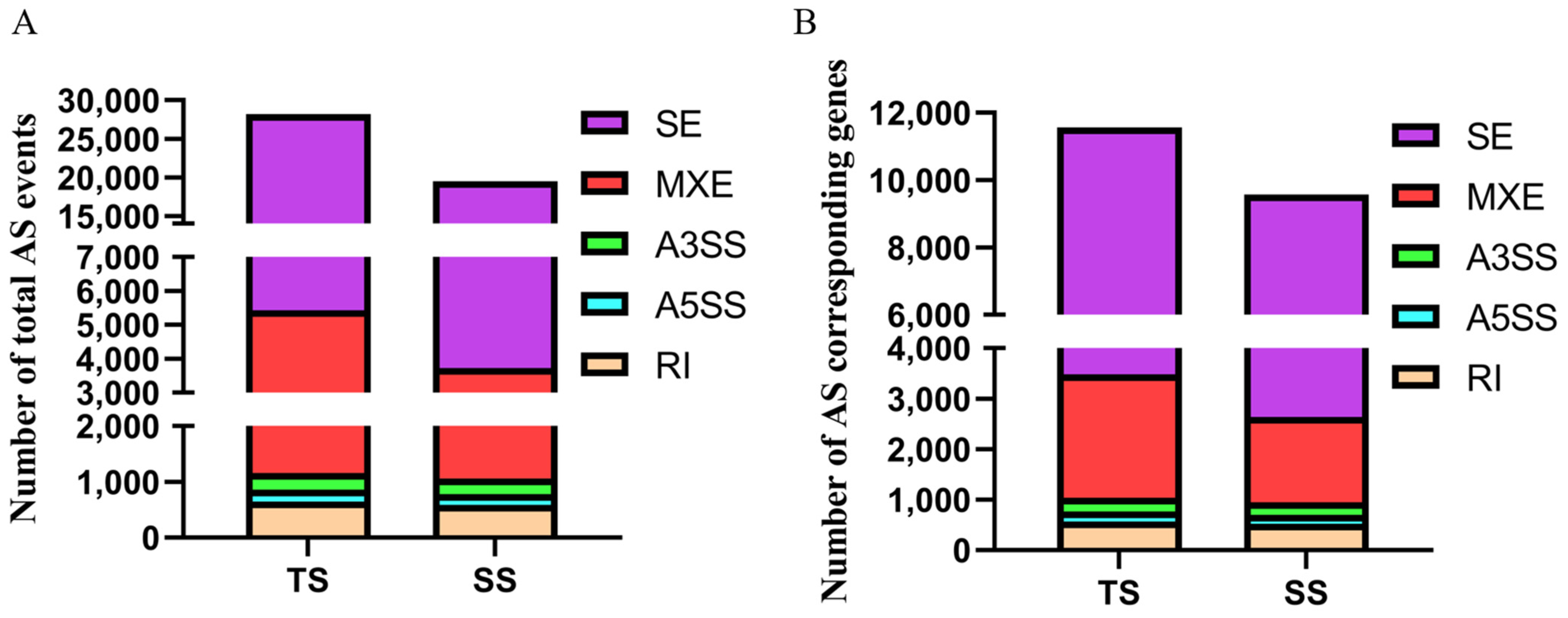 Genes 12 01857 g001