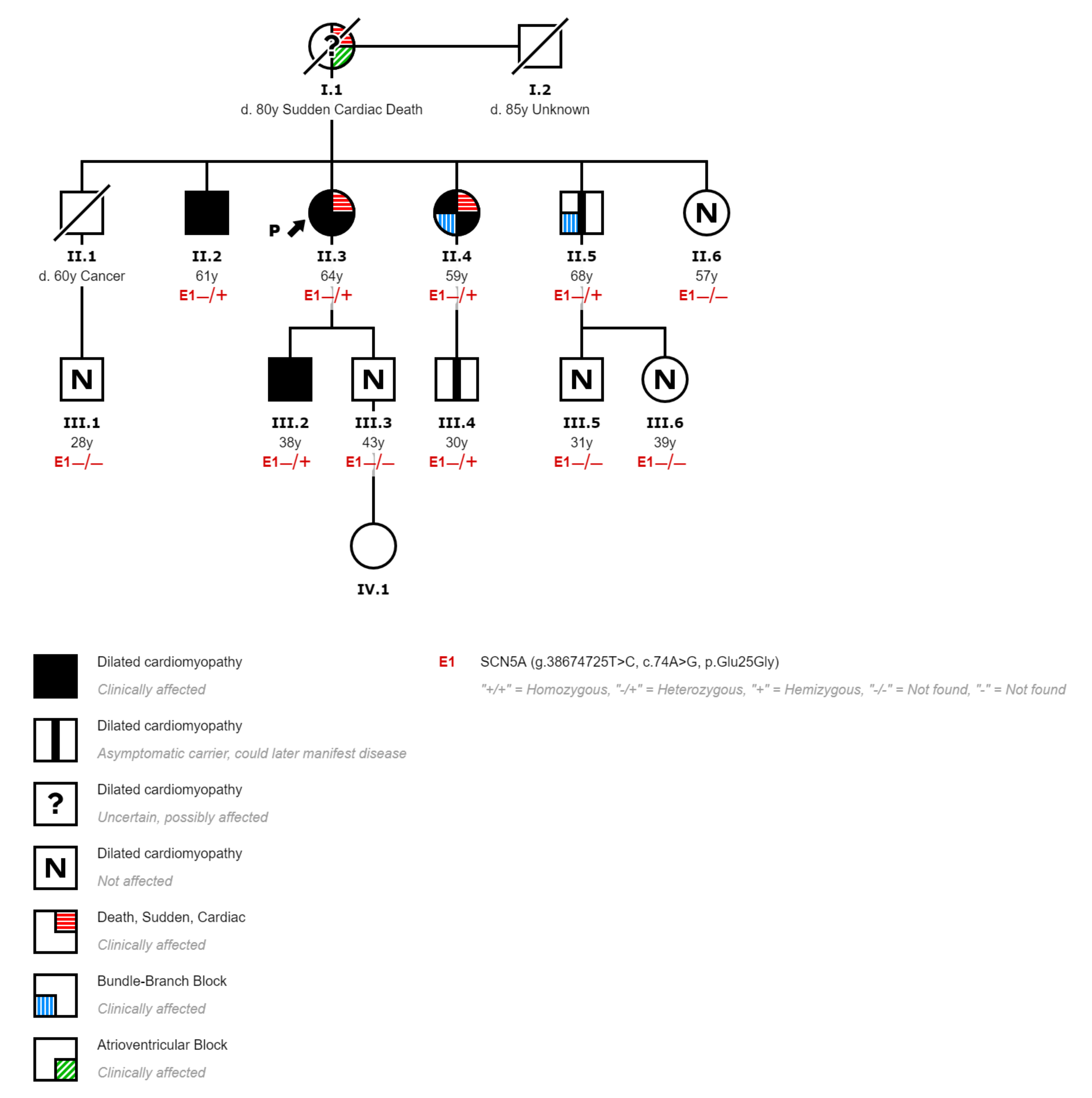 Genes | Free Full-Text | Familial Dilated Cardiomyopathy and Sudden Cardiac  Arrest: New Association with a SCN5A Mutation