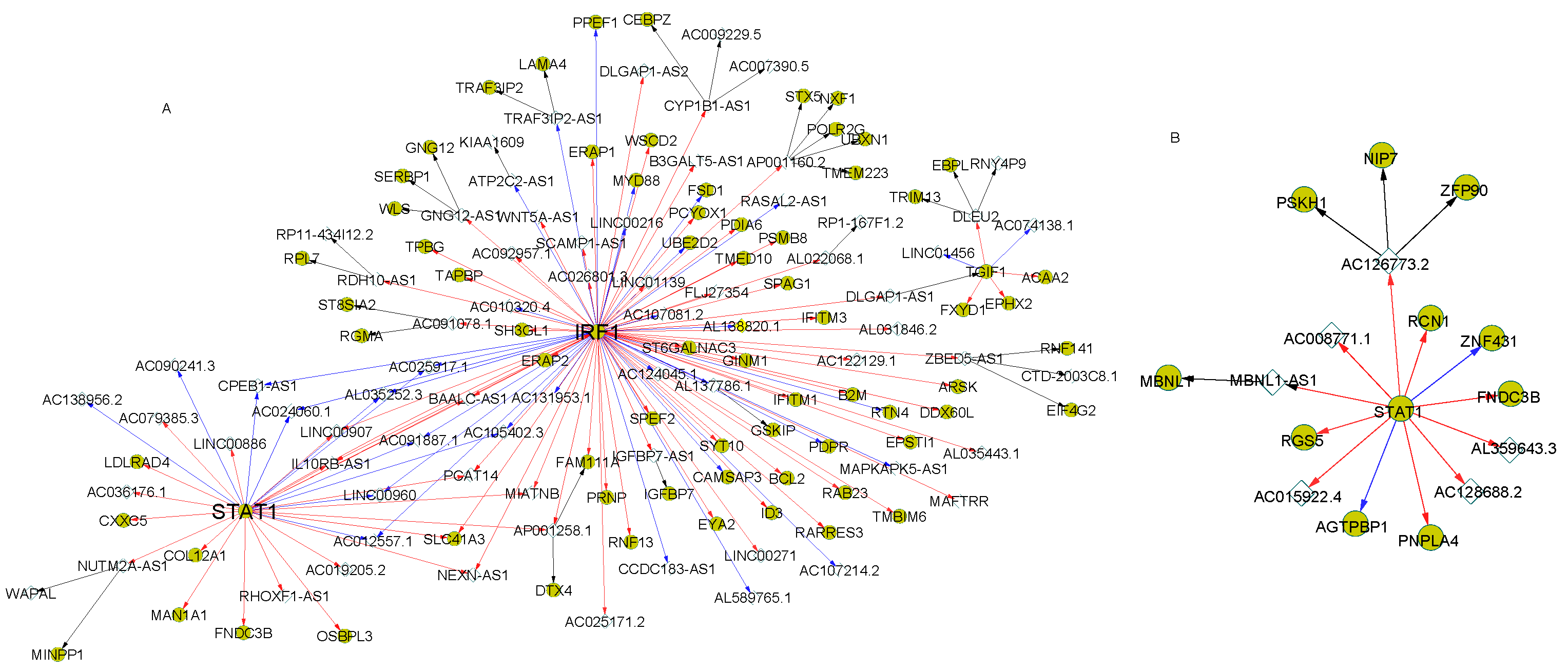 Genes 12 01901 g004 Genes 12 01901 g004