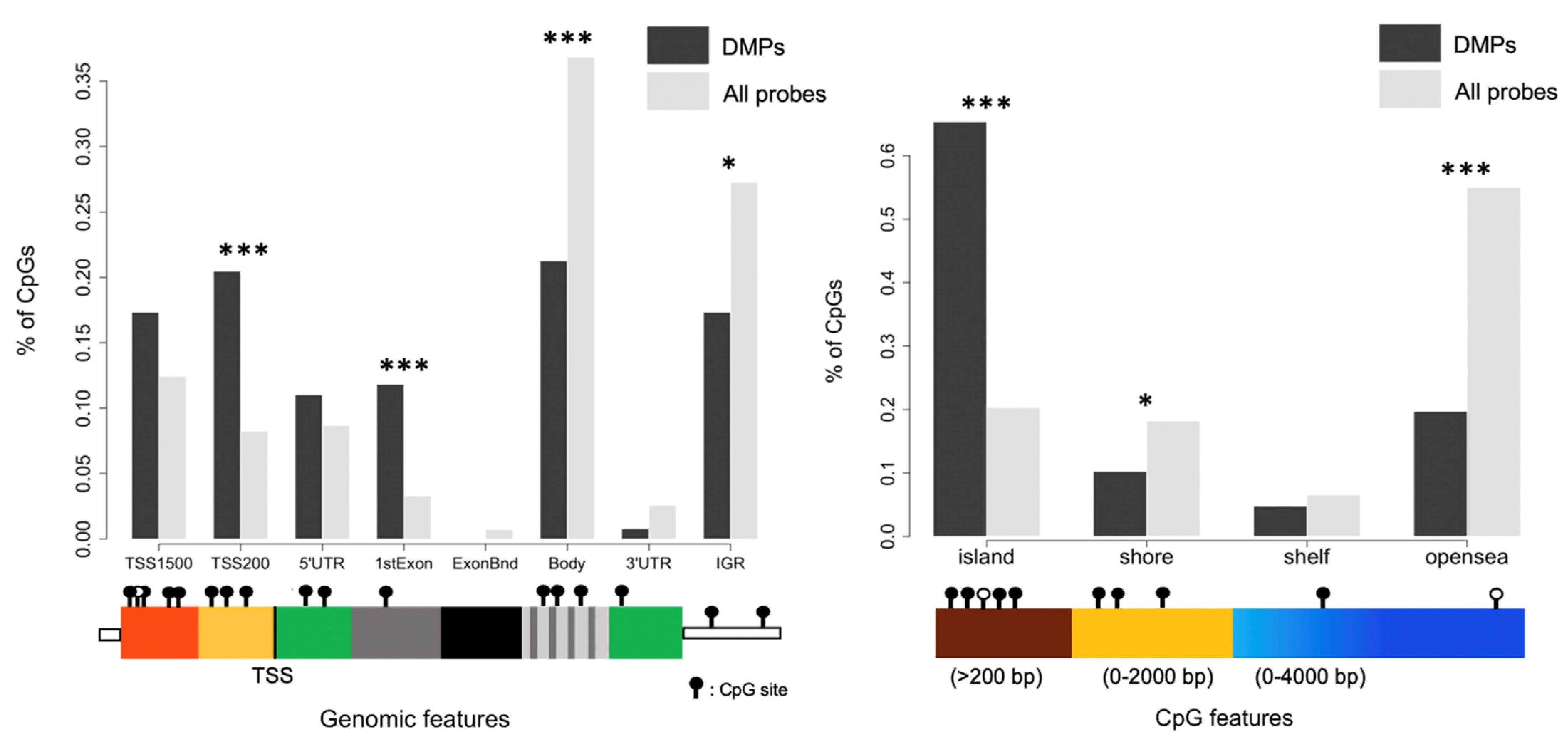 Genes 12 01912 g004 Genes 12 01912 g004