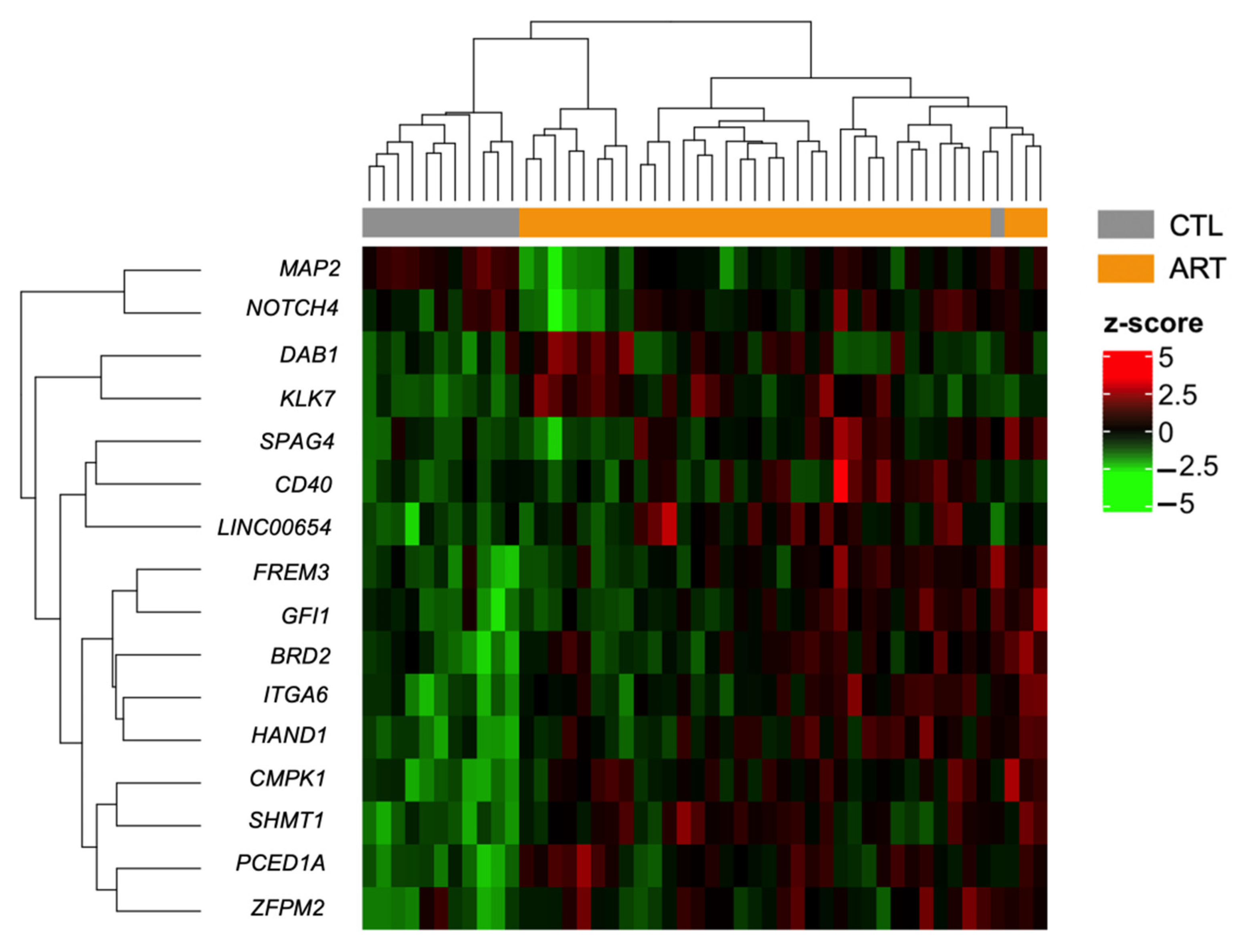 Genes 12 01912 g005 Genes 12 01912 g005