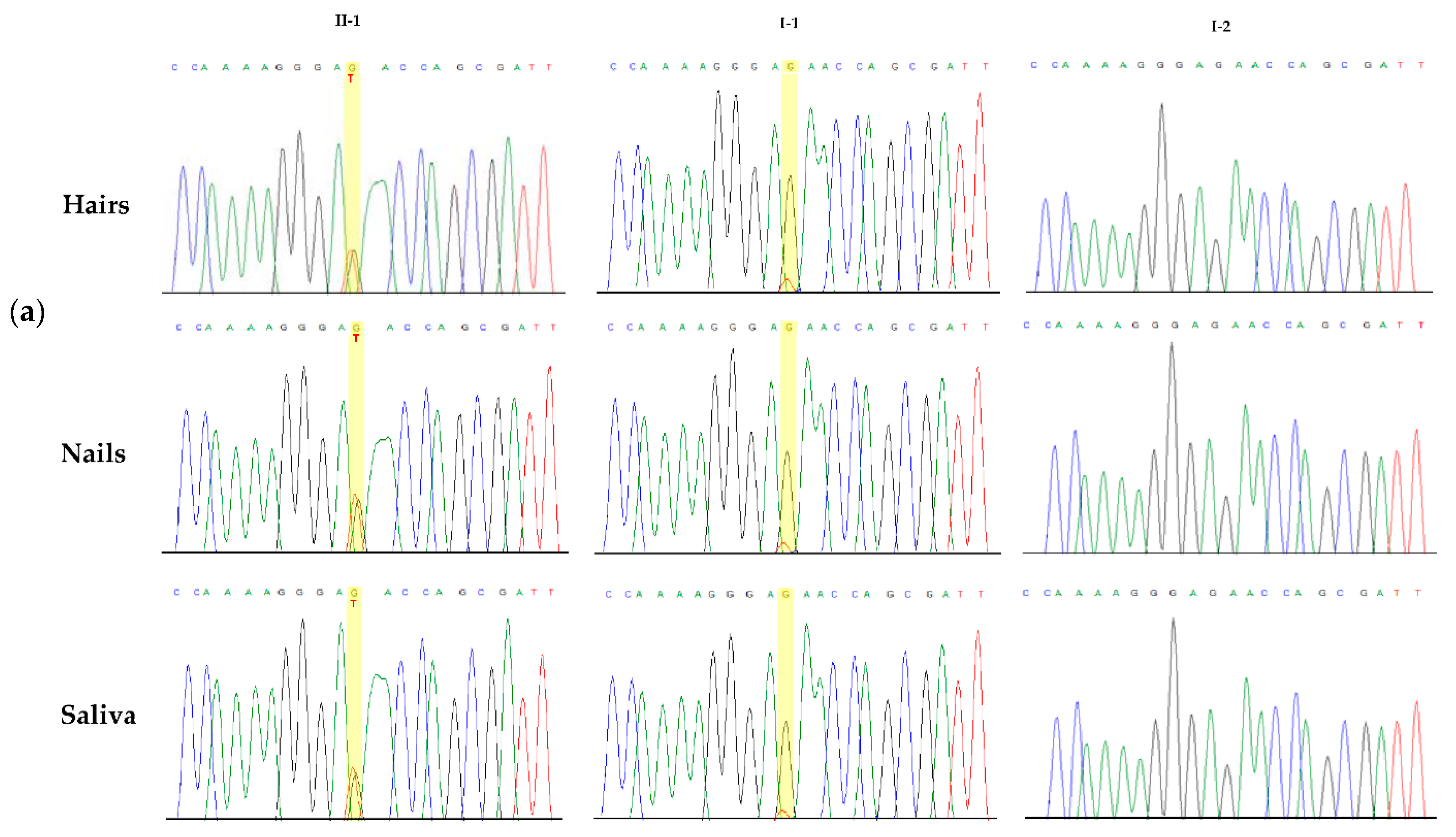 Genes 12 01928 g002a