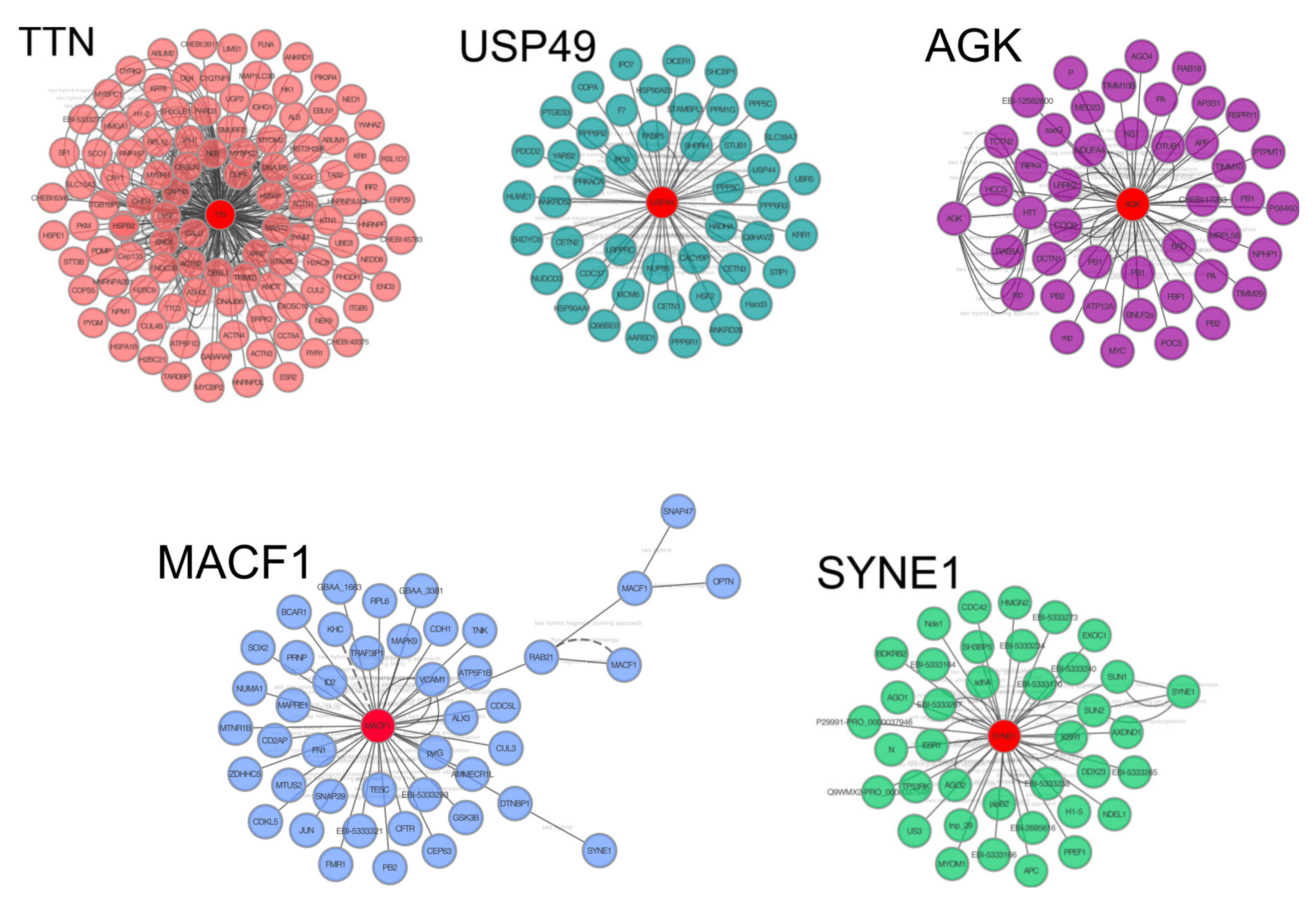 Genes 12 01965 g002 Genes 12 01965 g002