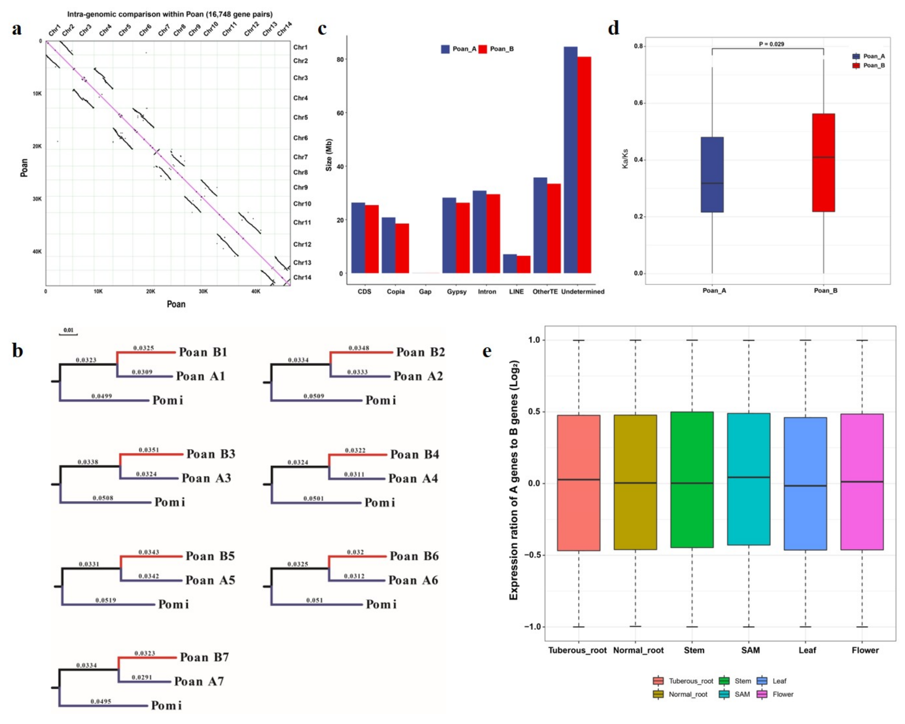 Genes 12 01993 g004