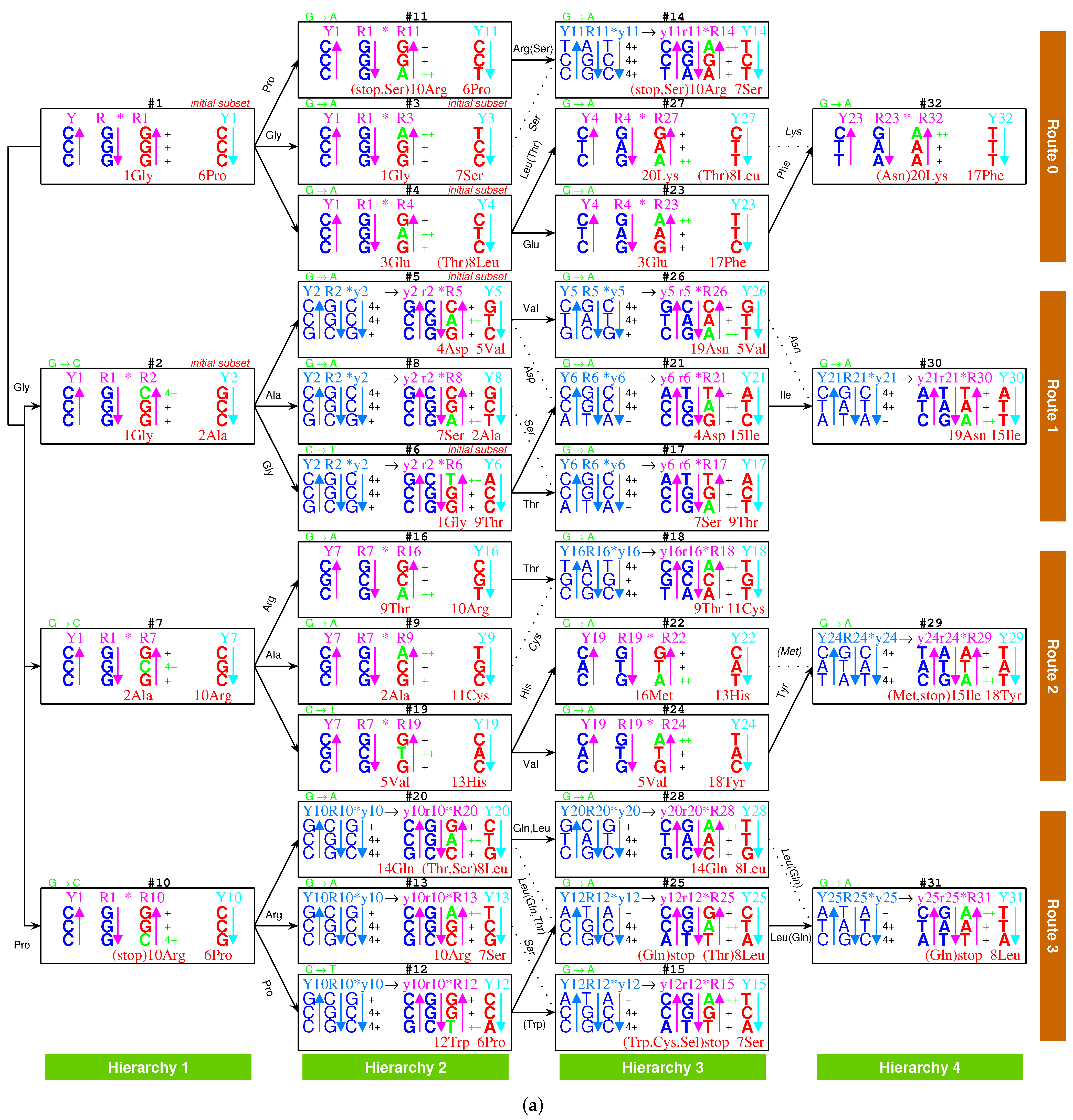 Genes 12 02023 g001a