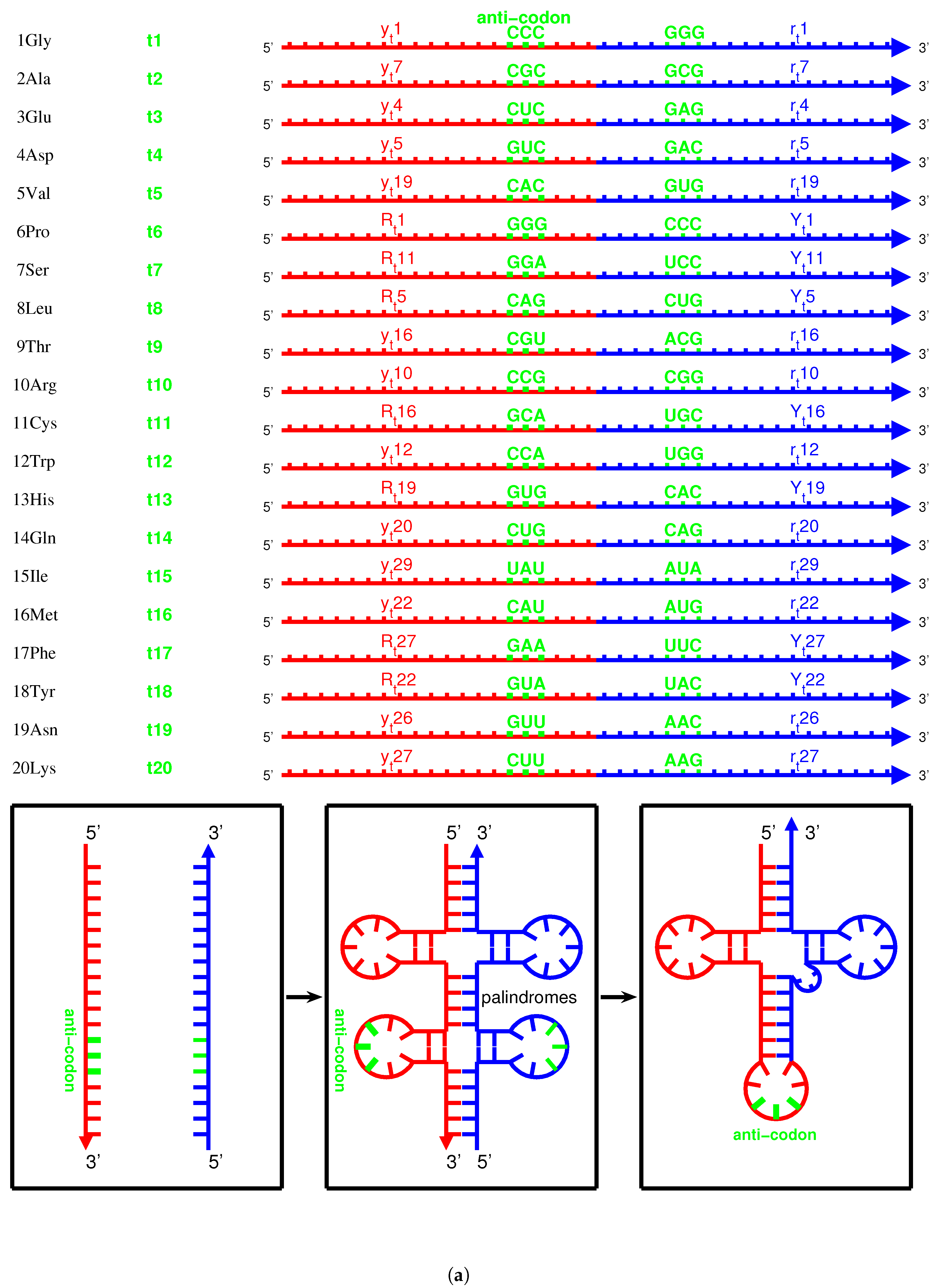 Genes 12 02023 g006a