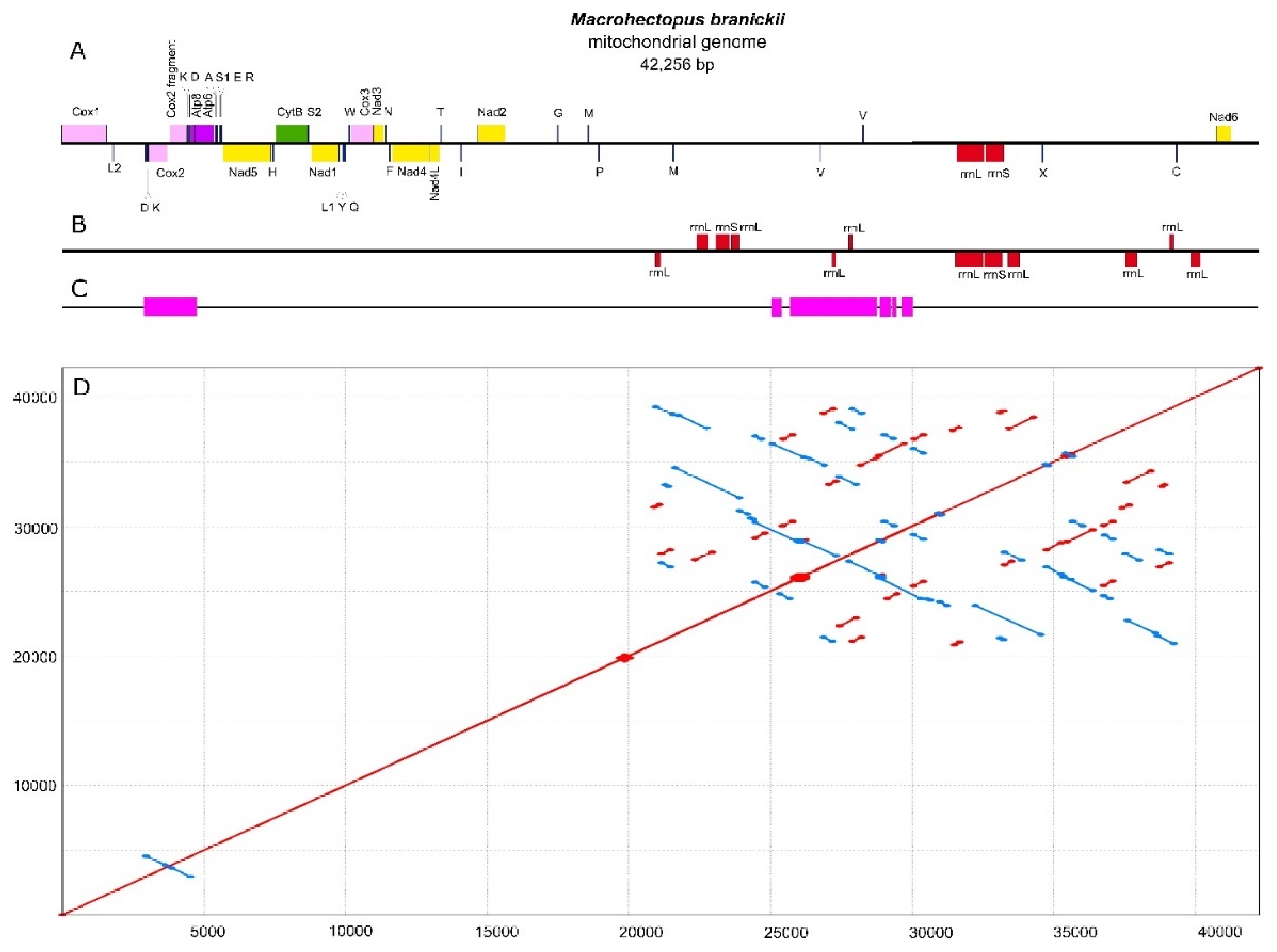 Genes 12 02030 g001 Genes 12 02030 g001