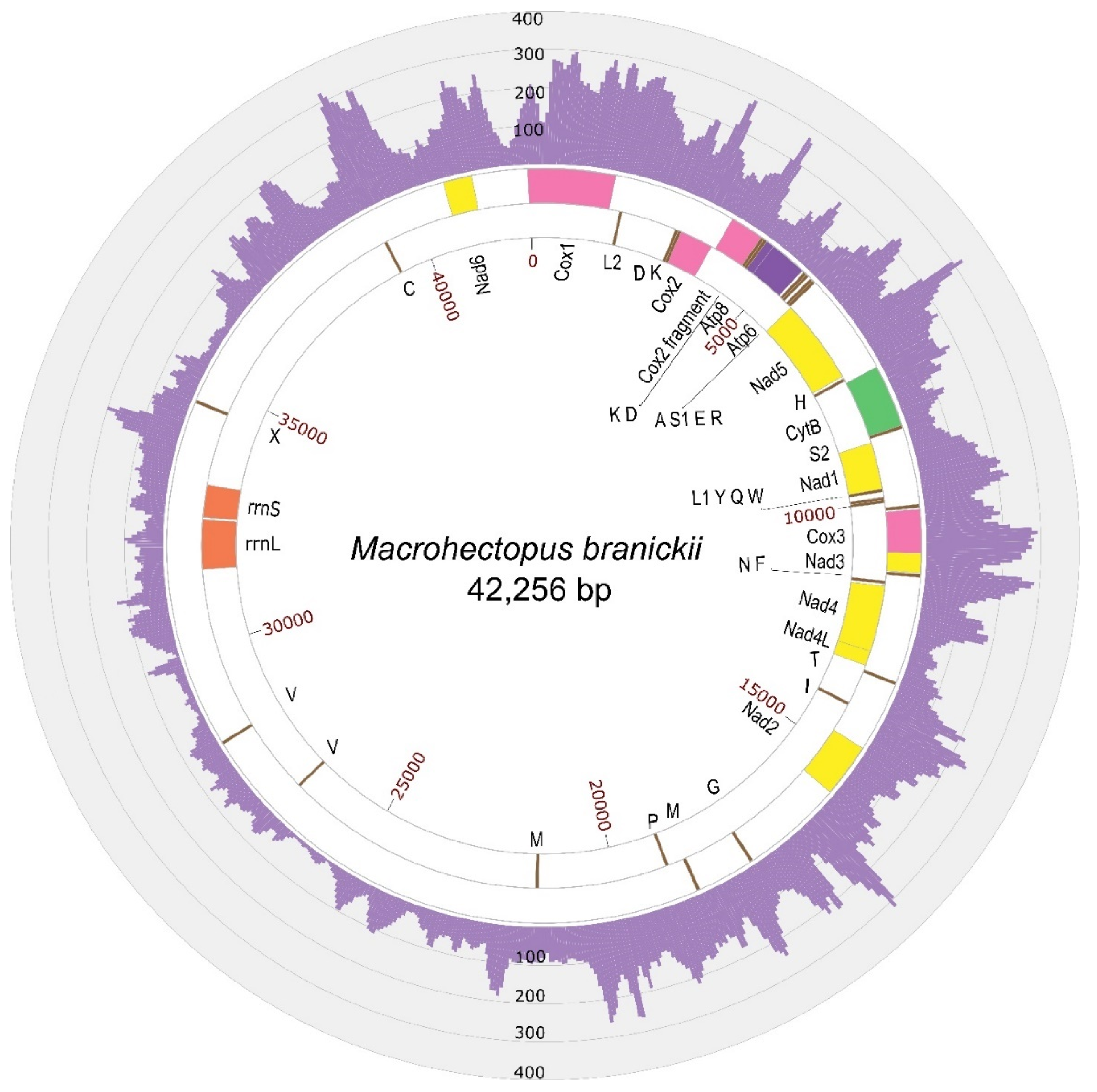 Genes 12 02030 g002 Genes 12 02030 g002