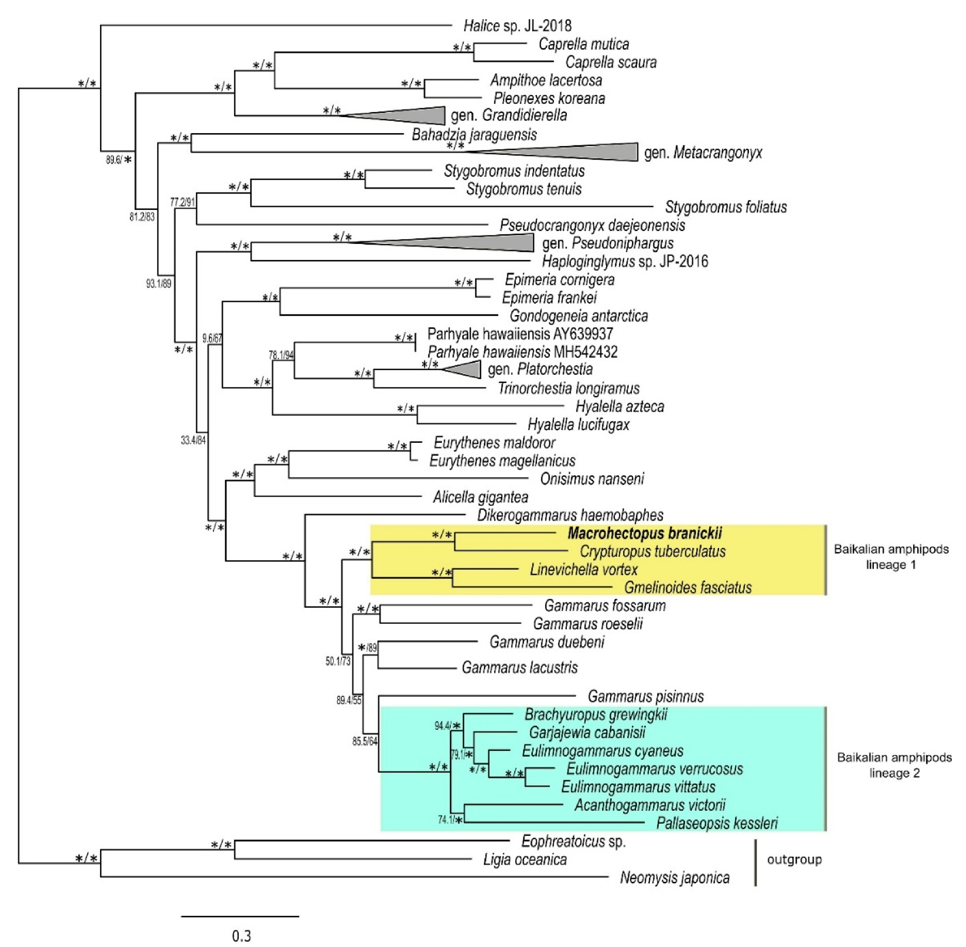 Genes 12 02030 g004 Genes 12 02030 g004