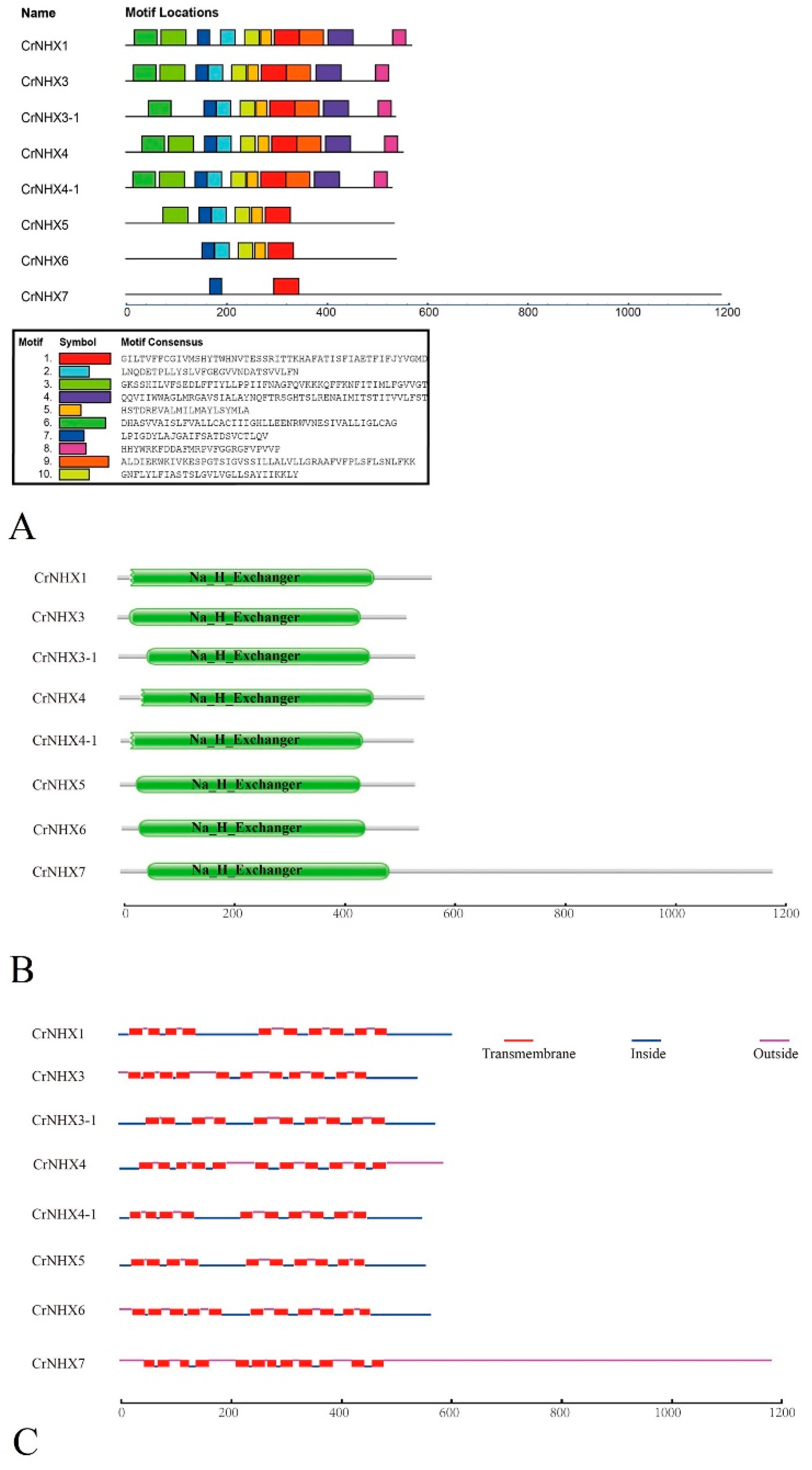 Genes 13 00033 g003