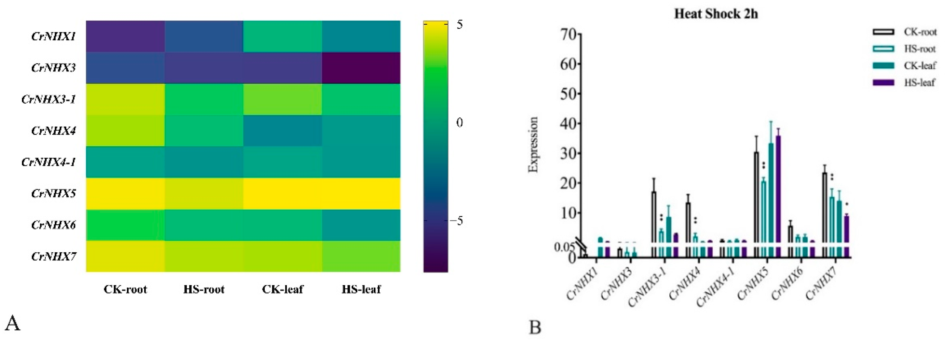 Genes 13 00033 g008